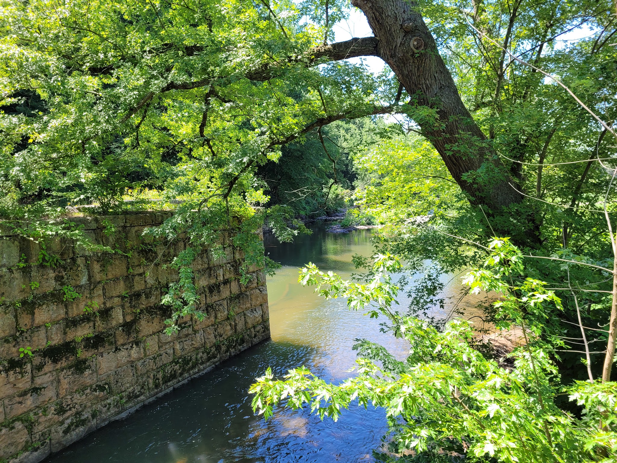 Cara Park - Catawissa, PA