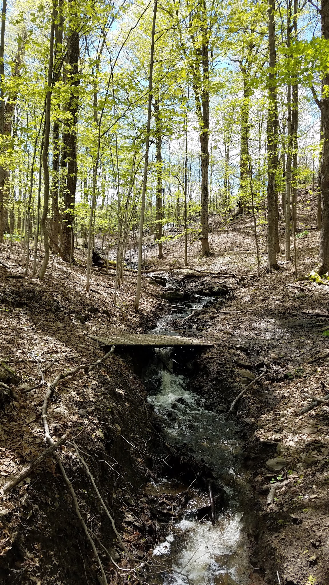 Fairchild Hill - Cazenovia, NY