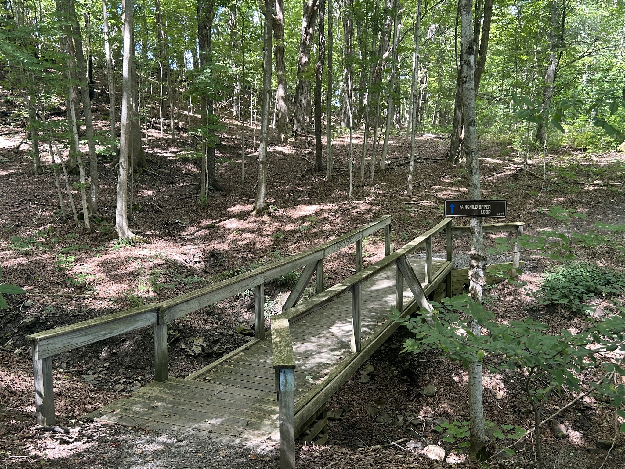 Fairchild Hill - Cazenovia, NY