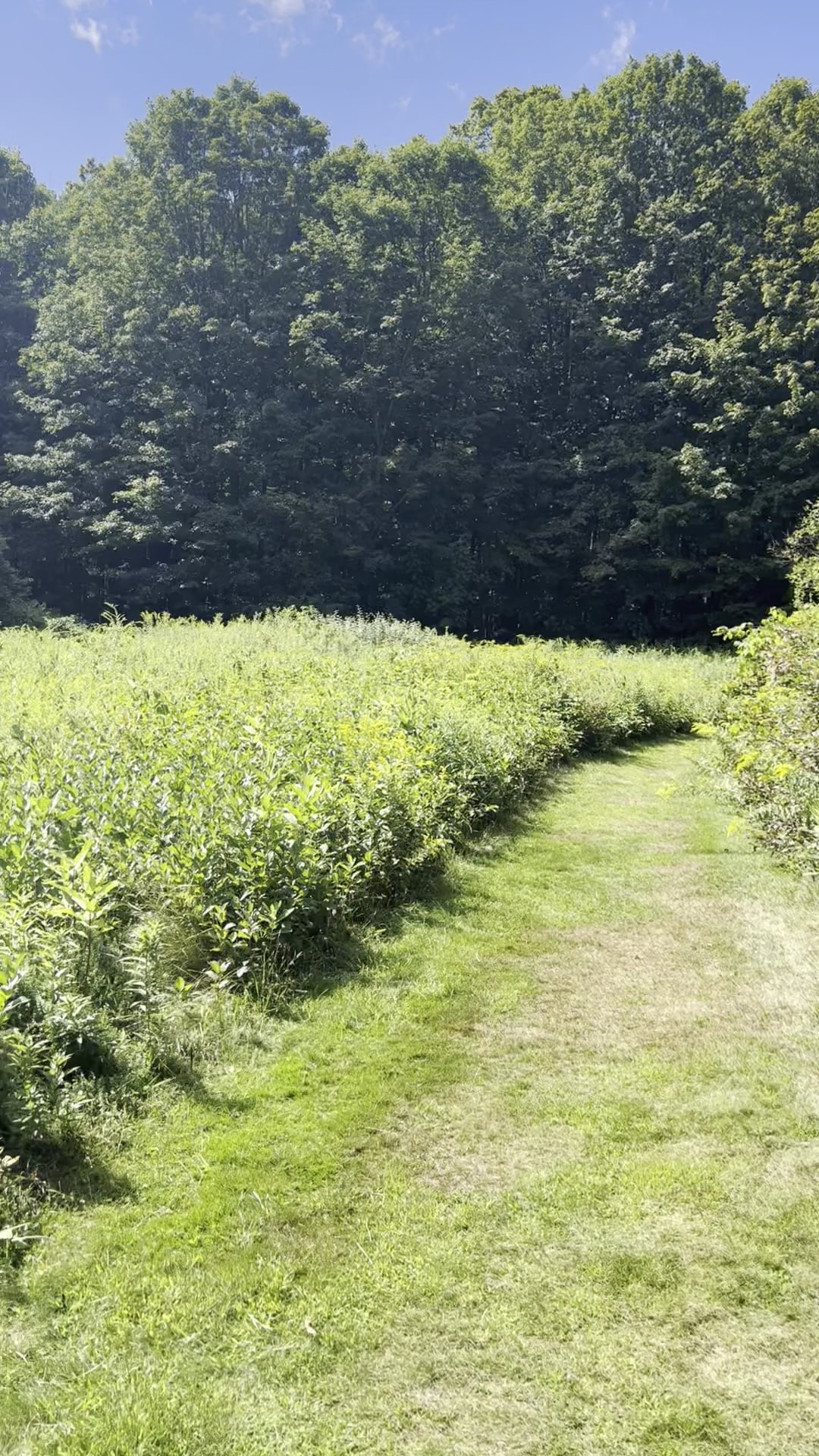 Fairchild Hill - Cazenovia, NY