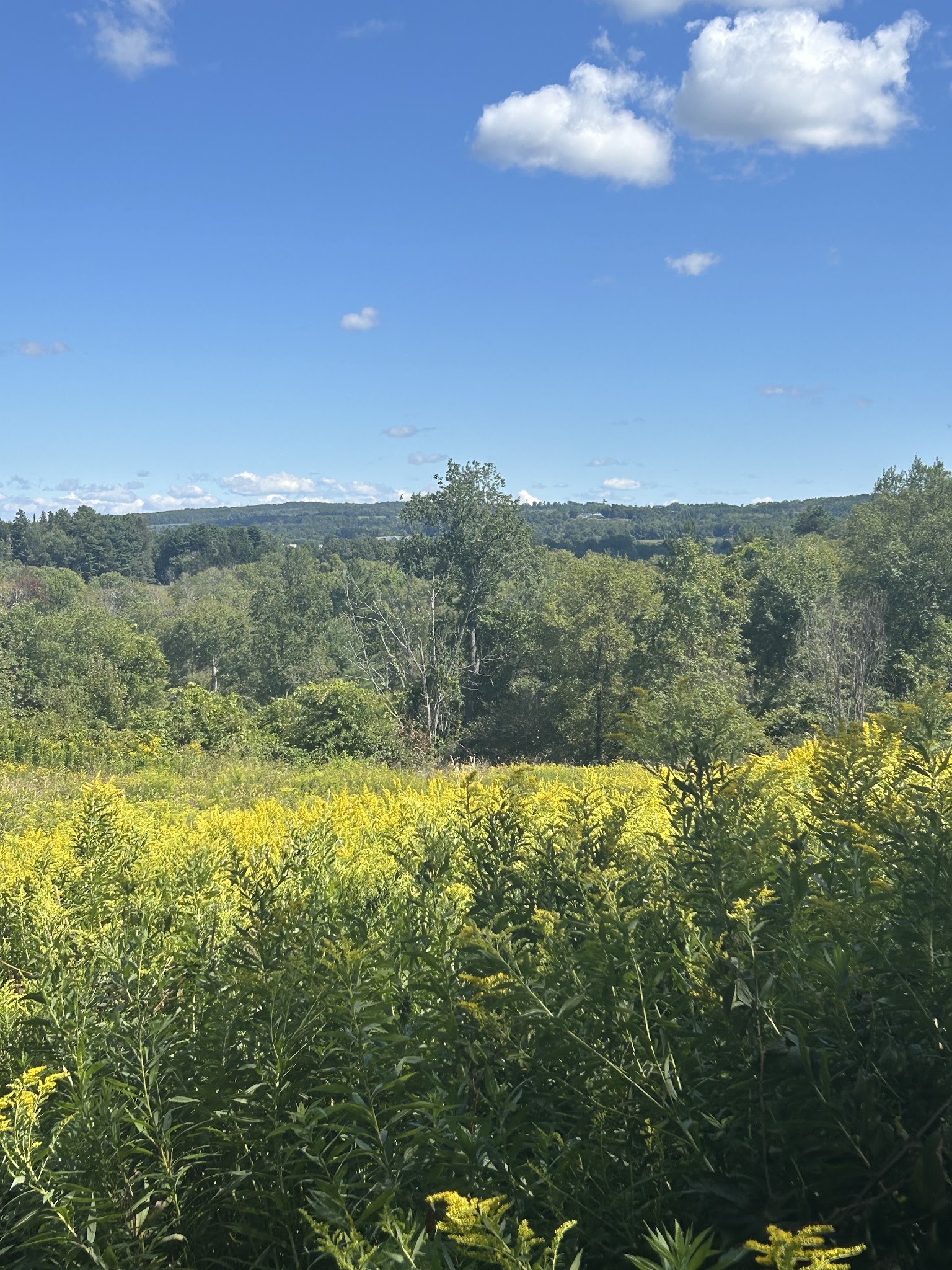 Fairchild Hill - Cazenovia, NY