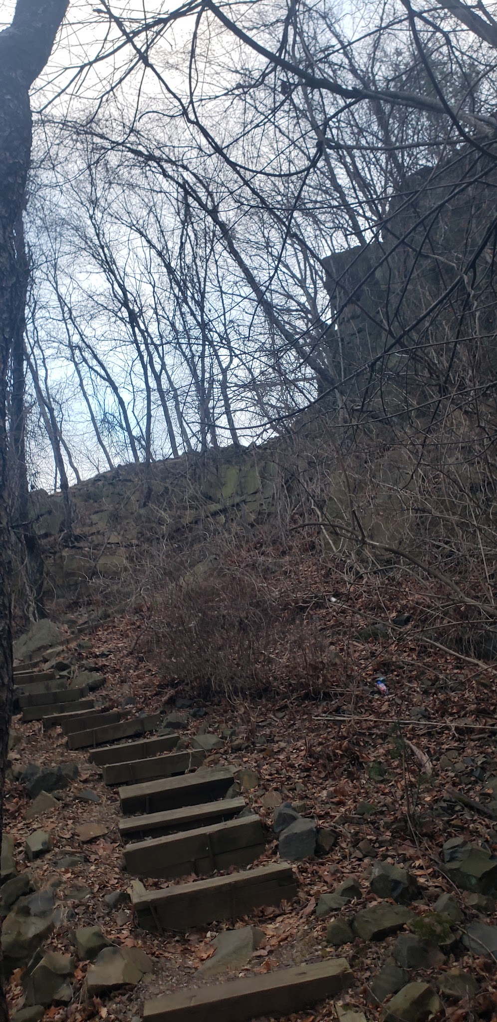 Mills Reservation Lenape trail parking - Cedar Grove, NJ