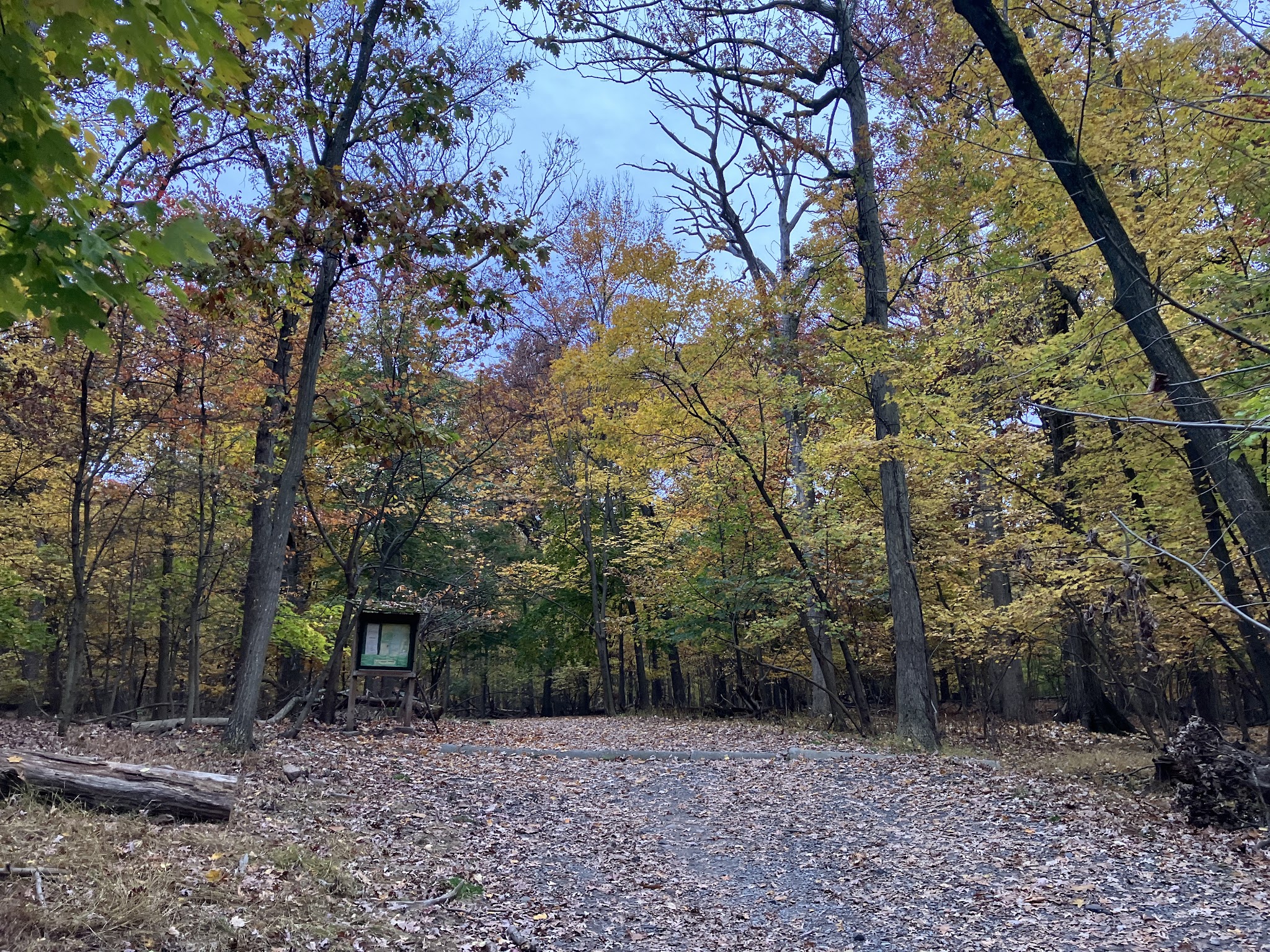 Mills Reservation Parking Lot - Cedar Grove, NJ