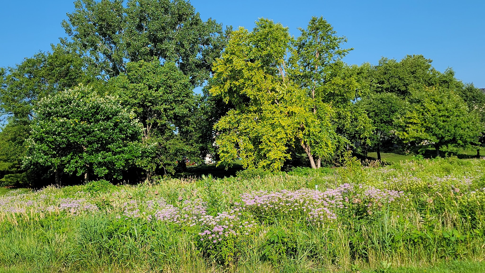 Huntington Ridge Park - Cedar Rapids, IA