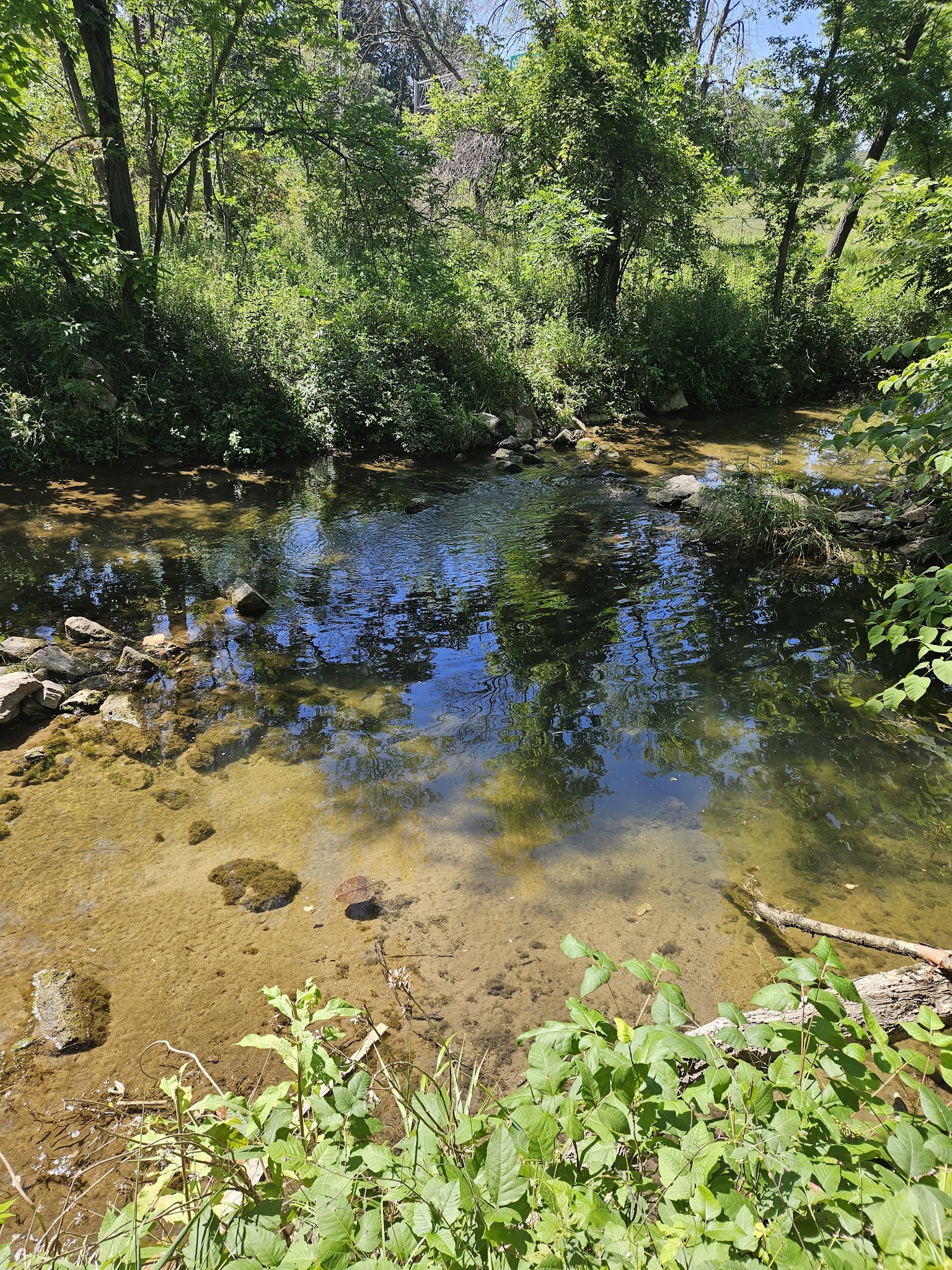 McLoud Run Park - Cedar Rapids, IA