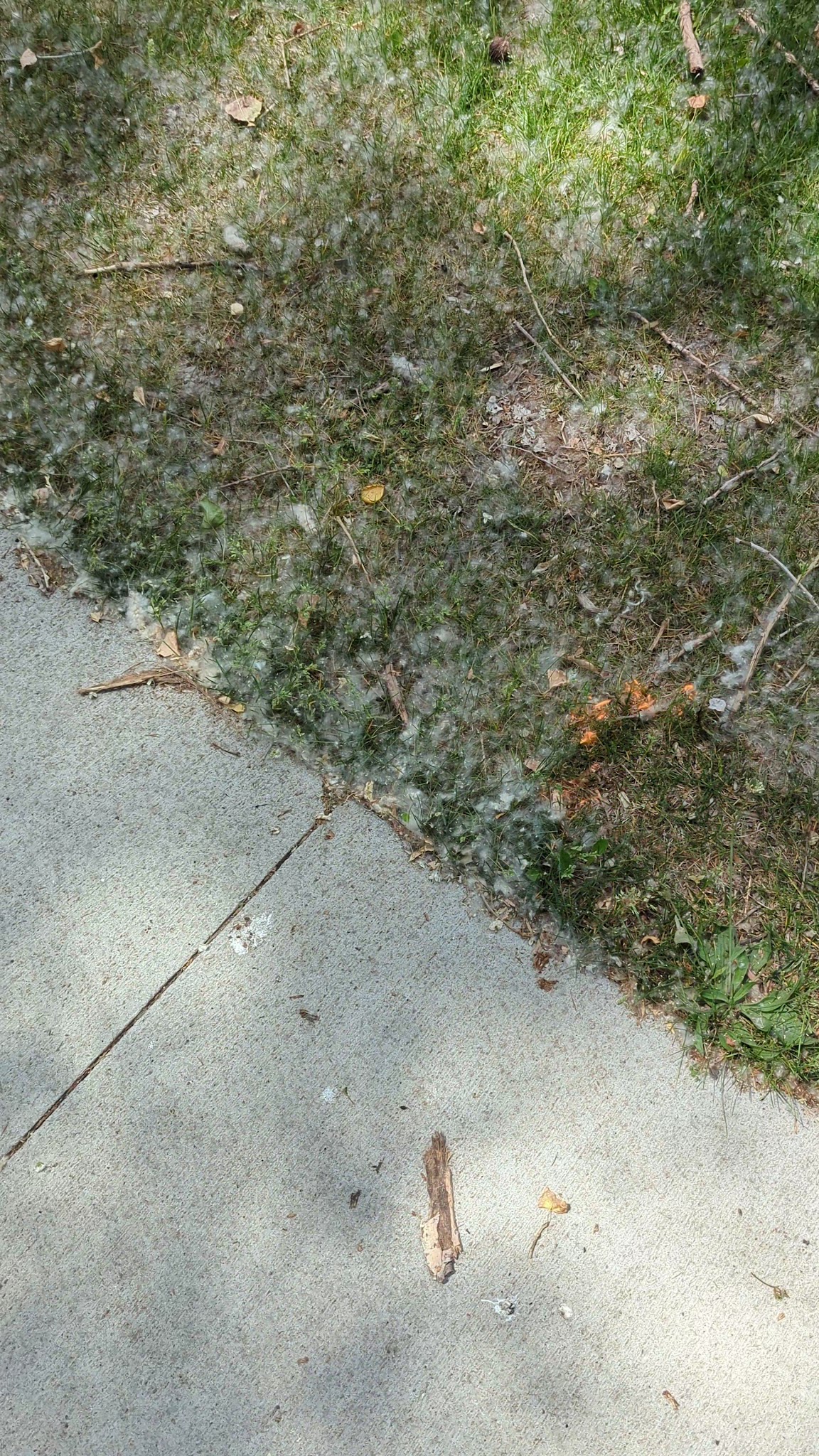 McLoud Run Park - Cedar Rapids, IA