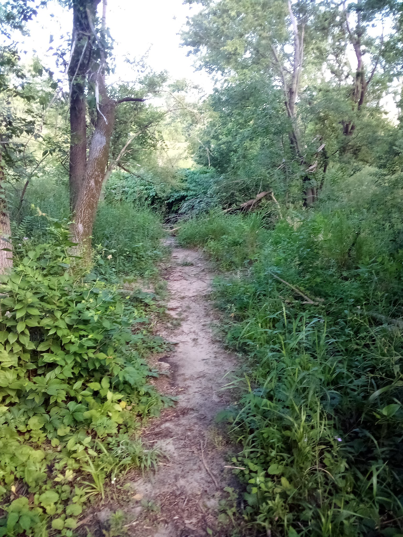 McLoud Run Park - Cedar Rapids, IA