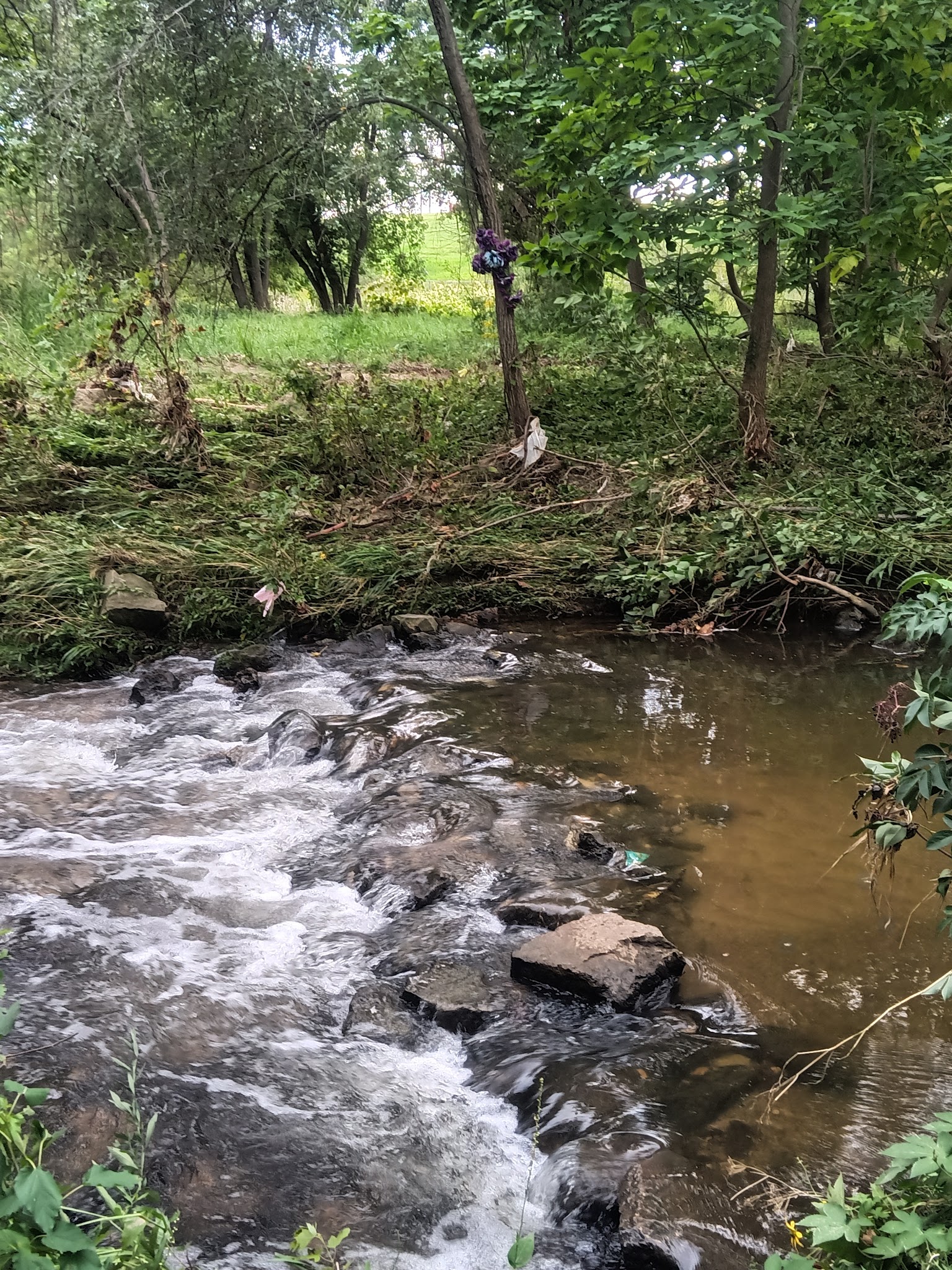 McLoud Run Park - Cedar Rapids, IA