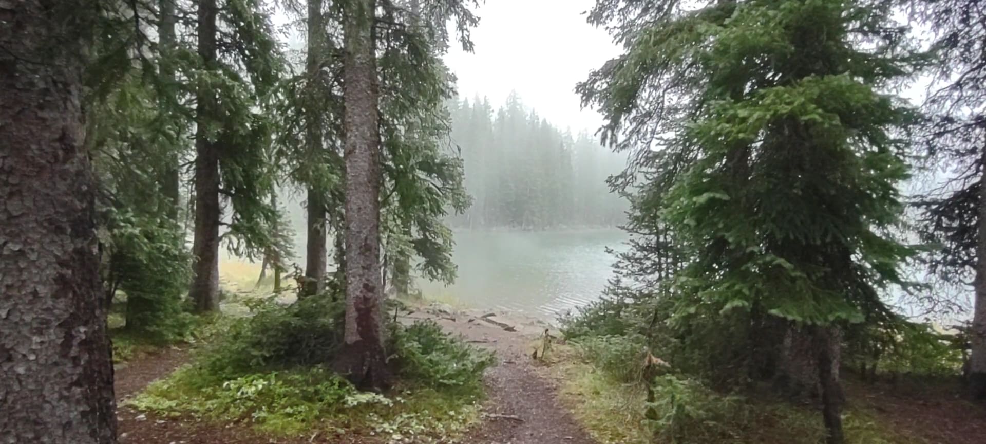 Cobbett Campground - Cedaredge, CO