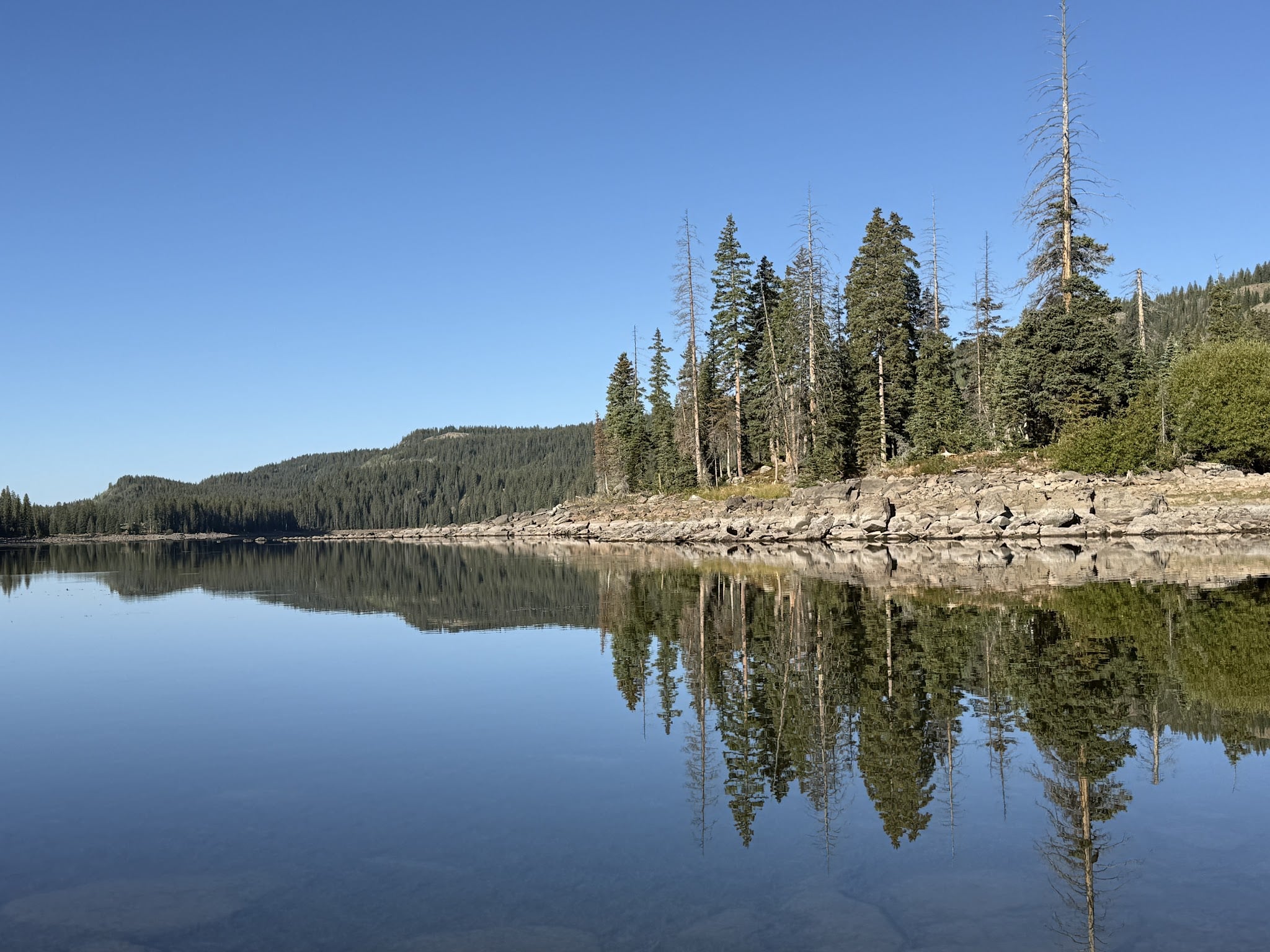 Cobbett Campground - Cedaredge, CO