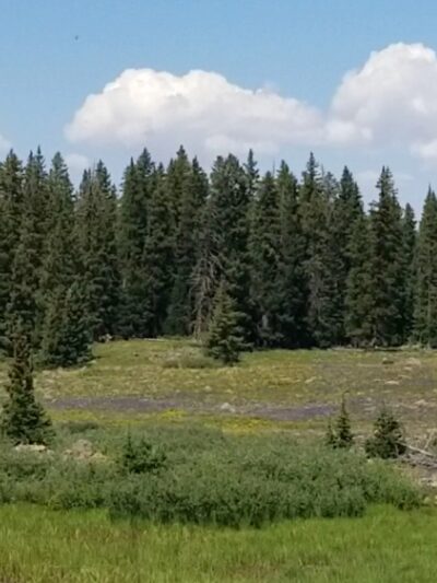 Mesa Top Trailhead - Cedaredge, CO