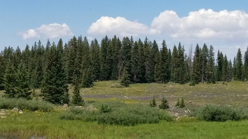 Mesa Top Trailhead - Cedaredge, CO