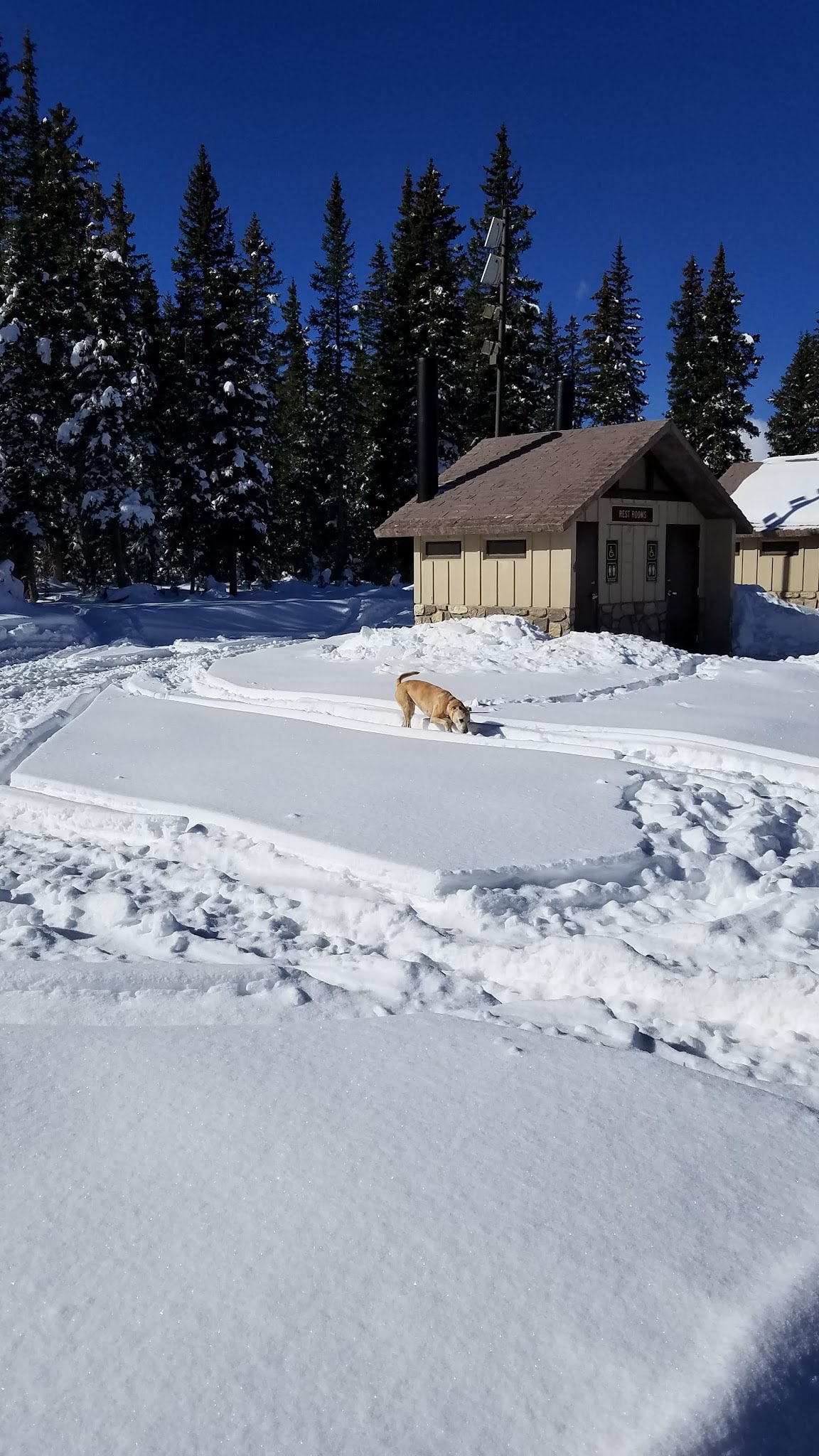 Mesa Top Trailhead - Cedaredge, CO