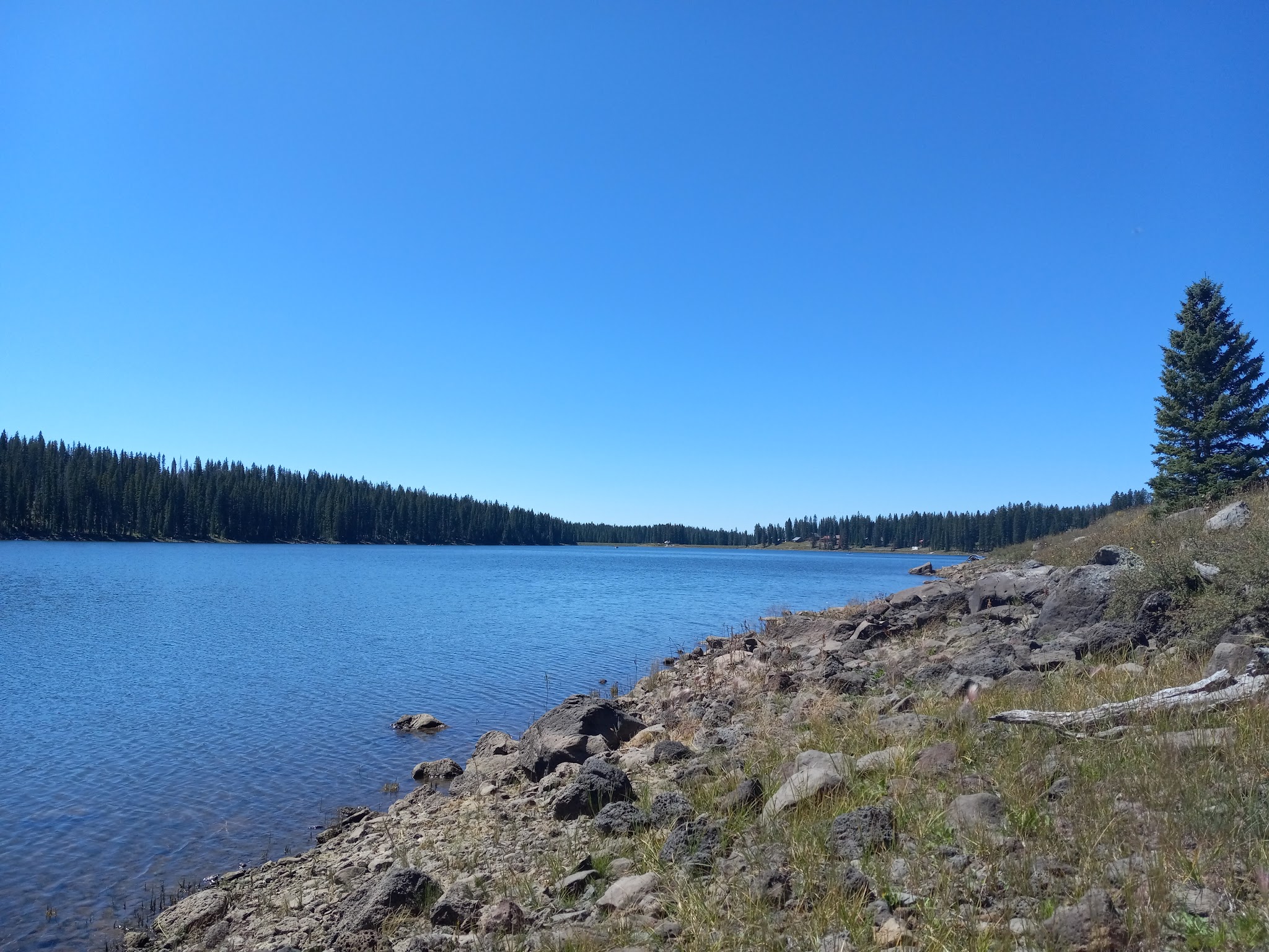 Crag Crest Campground - Grand Valley RD - Cedaredge, CO