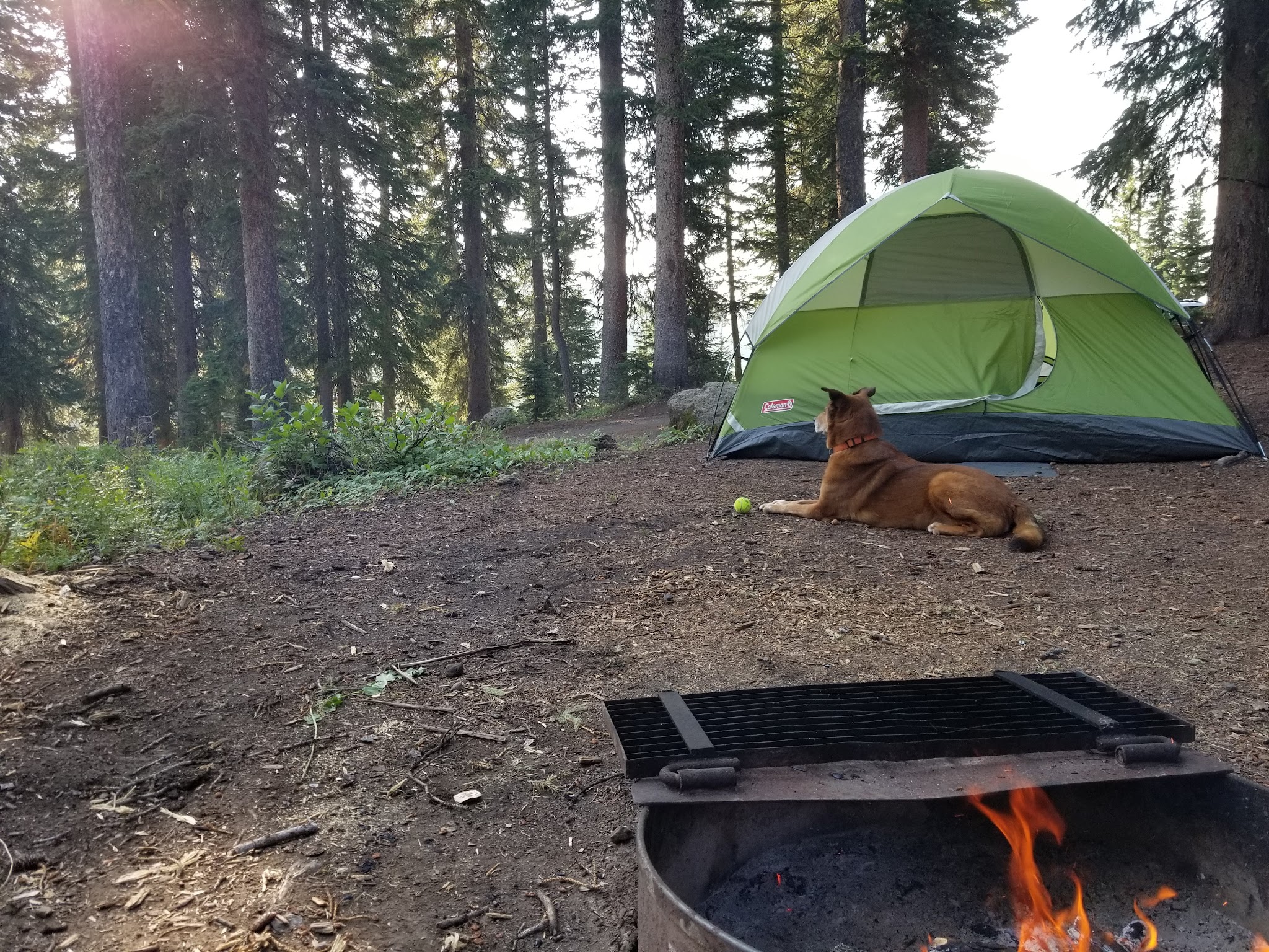 Crag Crest Campground - Grand Valley RD - Cedaredge, CO
