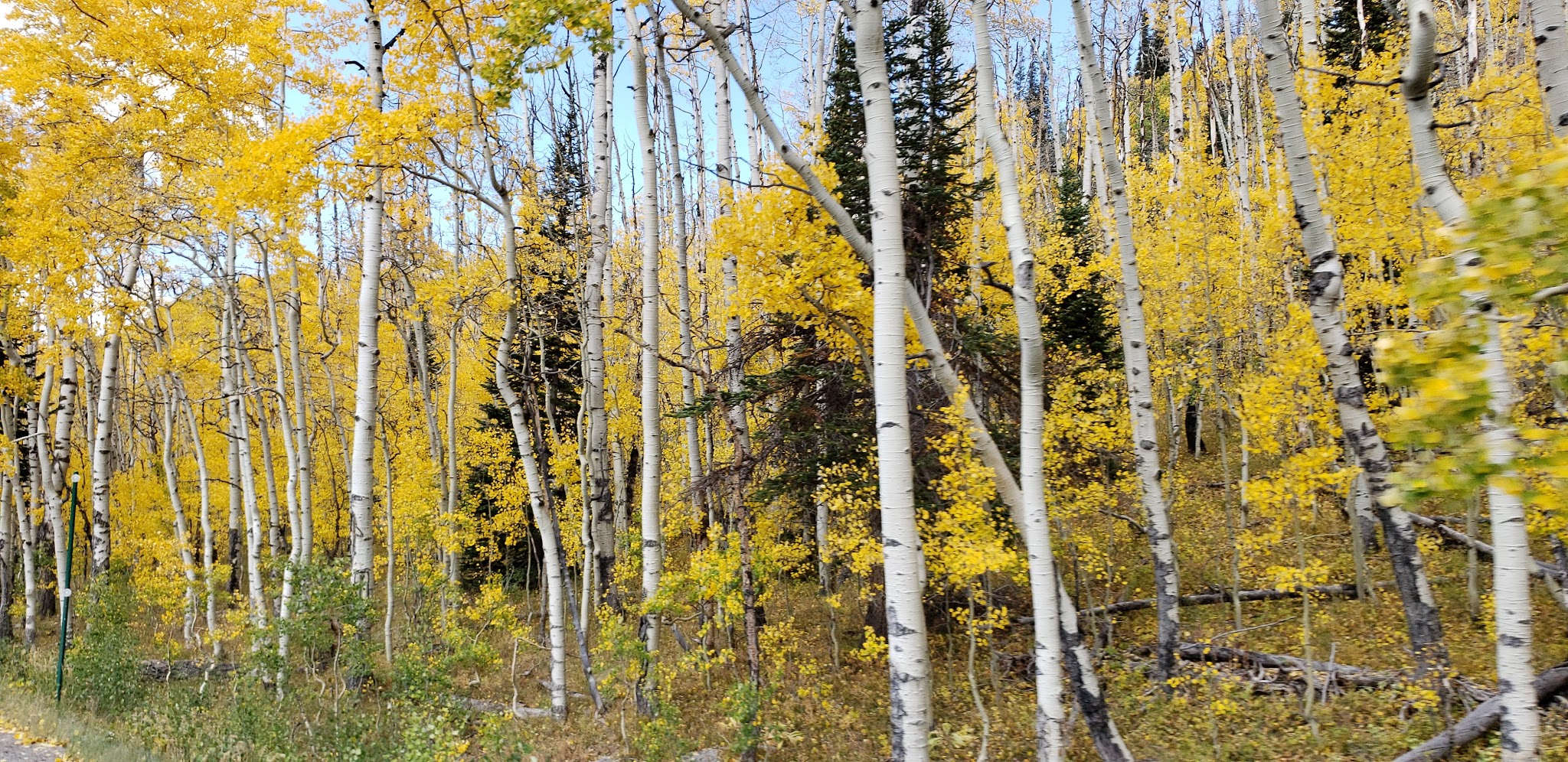 Skyway Ski Trailhead - Cedaredge, CO