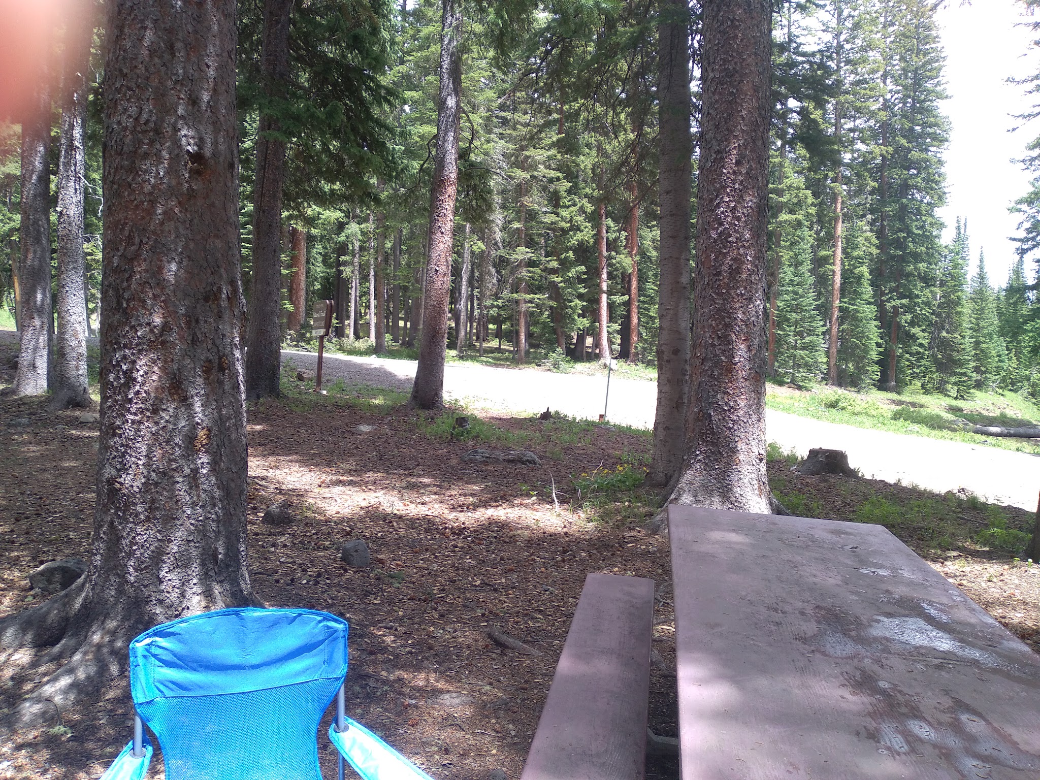 Ward Lake Campground - Grand Valley RD - Cedaredge, CO