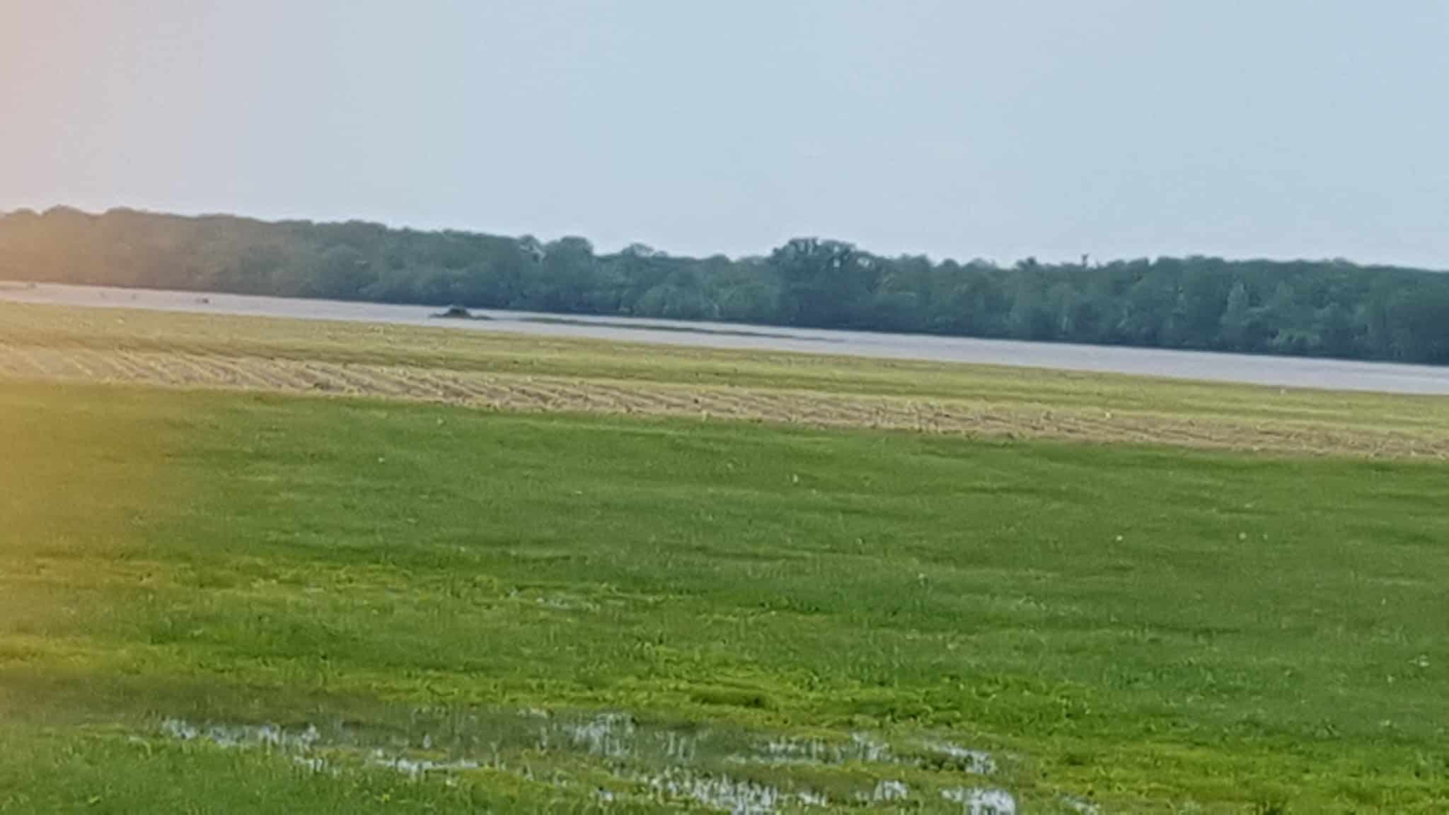 Chamois Access - Chamois, MO