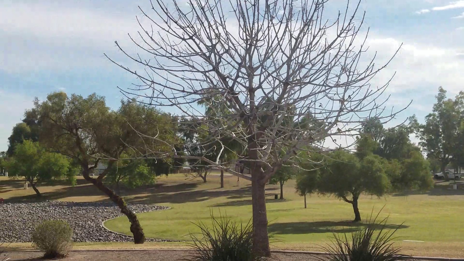 Hoopes Park - Chandler, AZ