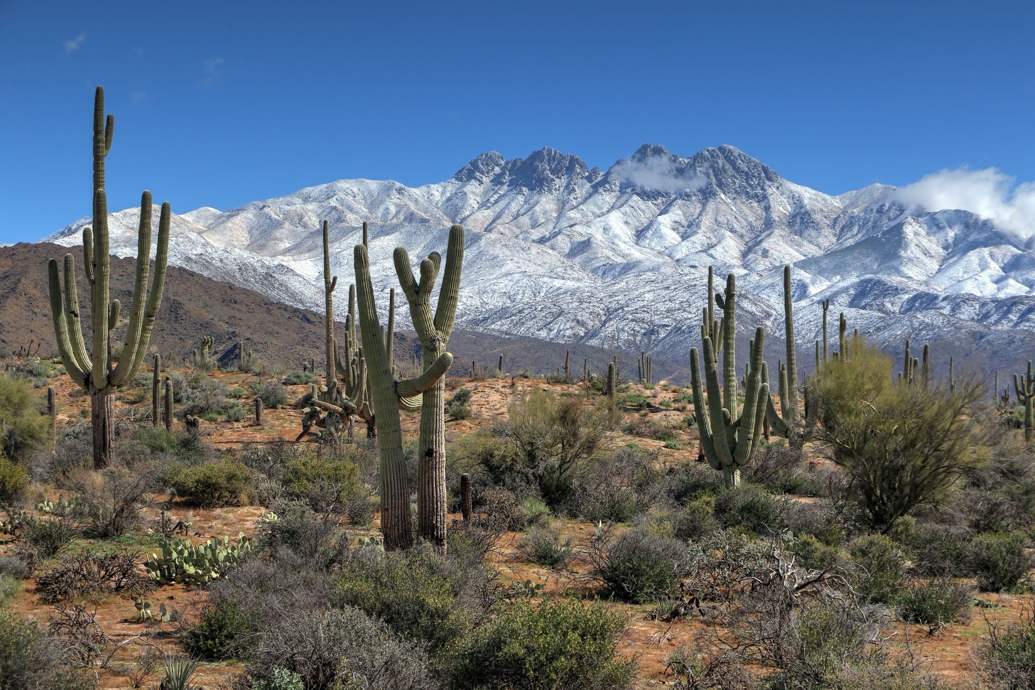 Tonto National Forest - Chandler, AZ
