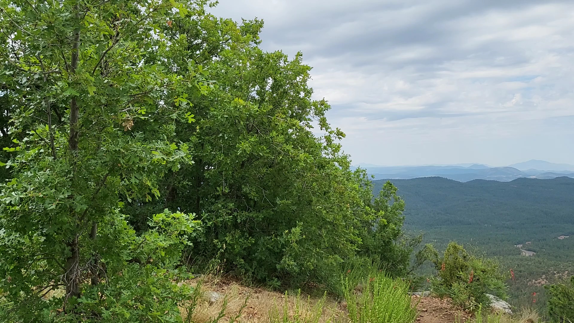 Tonto National Forest - Chandler, AZ