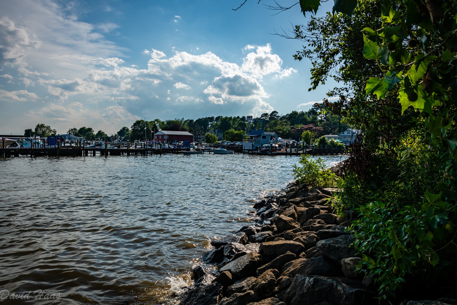 Avalon Park & Stage in Charlestown - Charlestown, MD