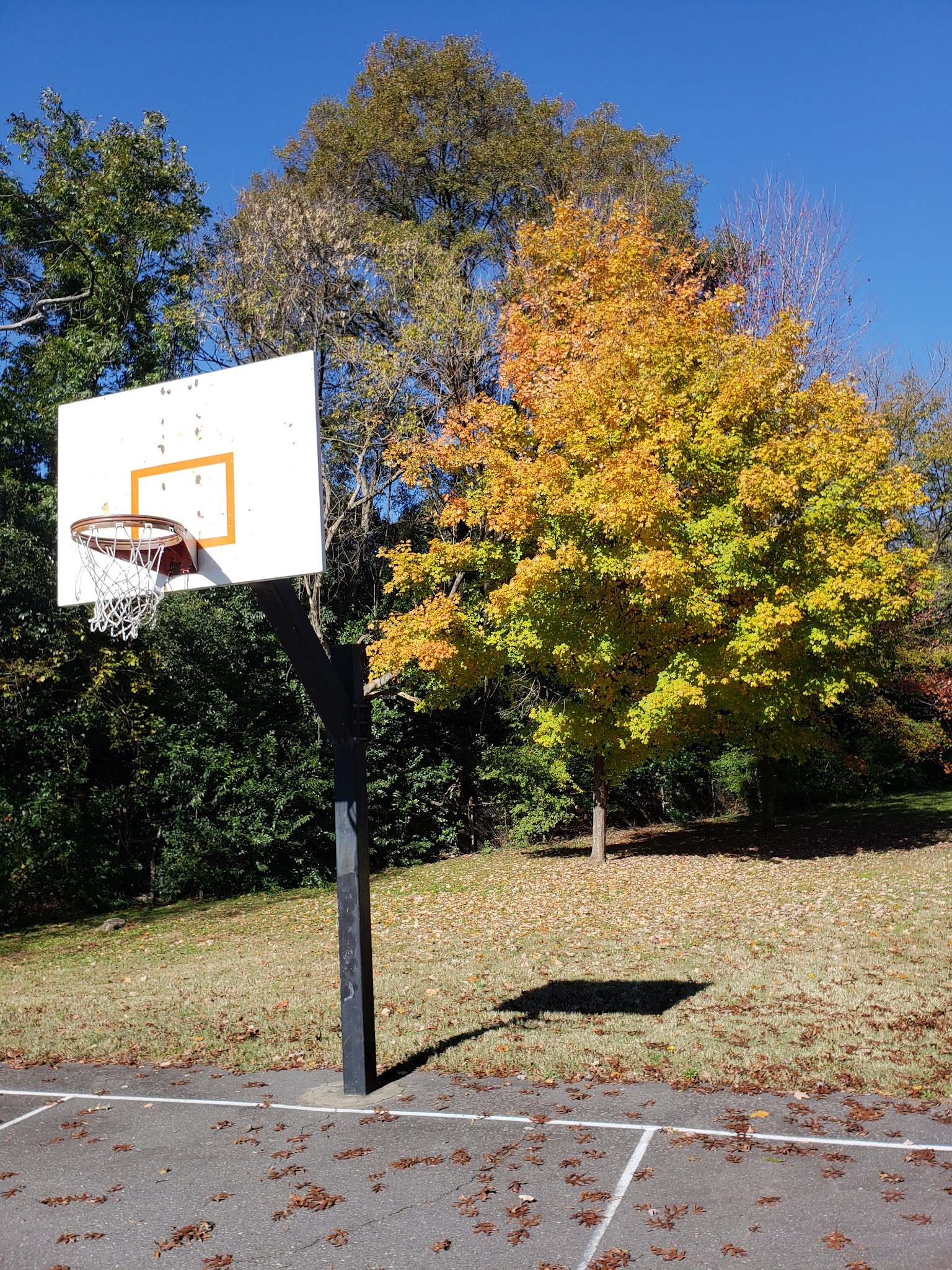 Abbott Park - Charlotte, NC