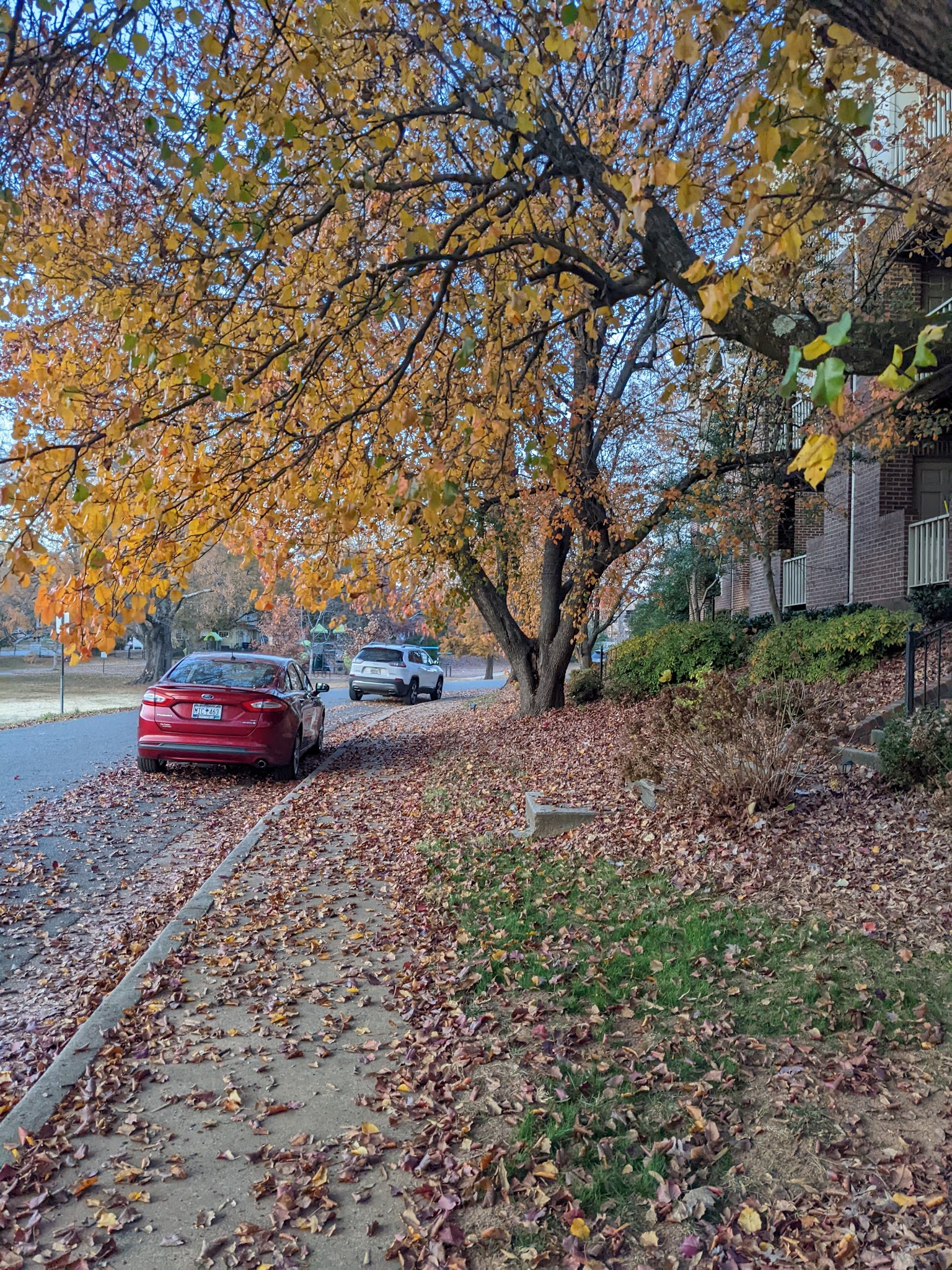 Colonial Park - Charlotte, NC