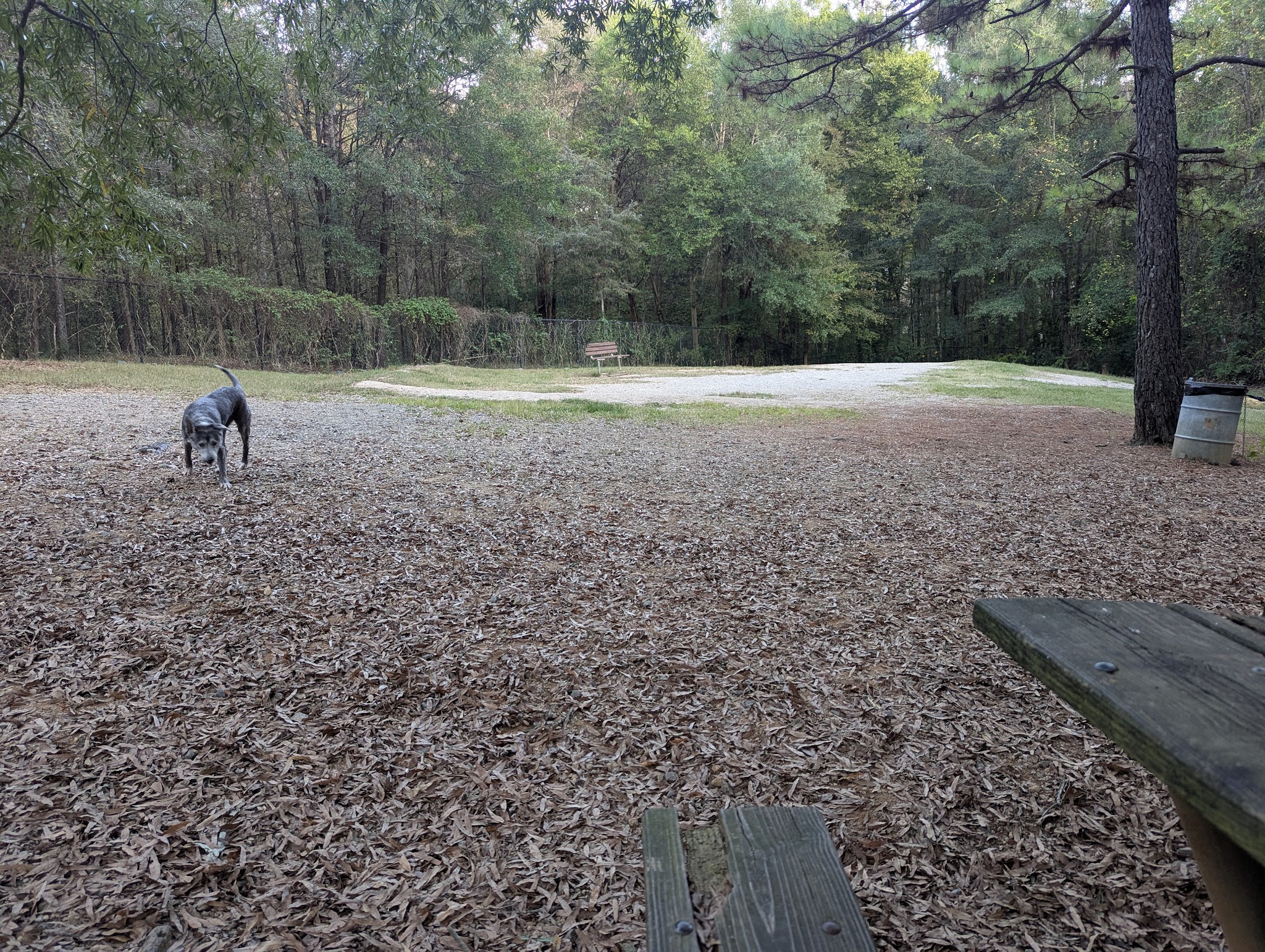 Dog Park - Charlotte, NC