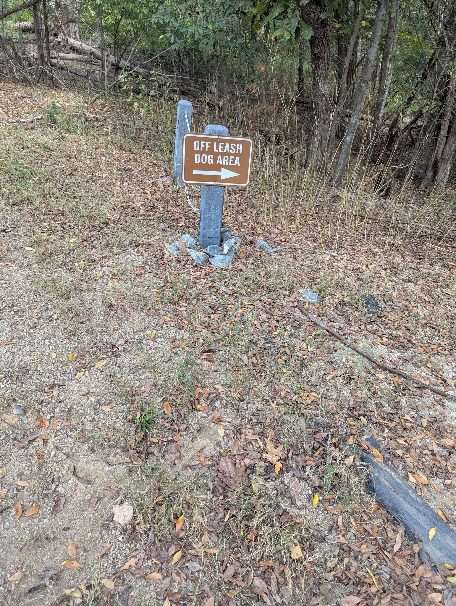 Dog Park - Charlotte, NC