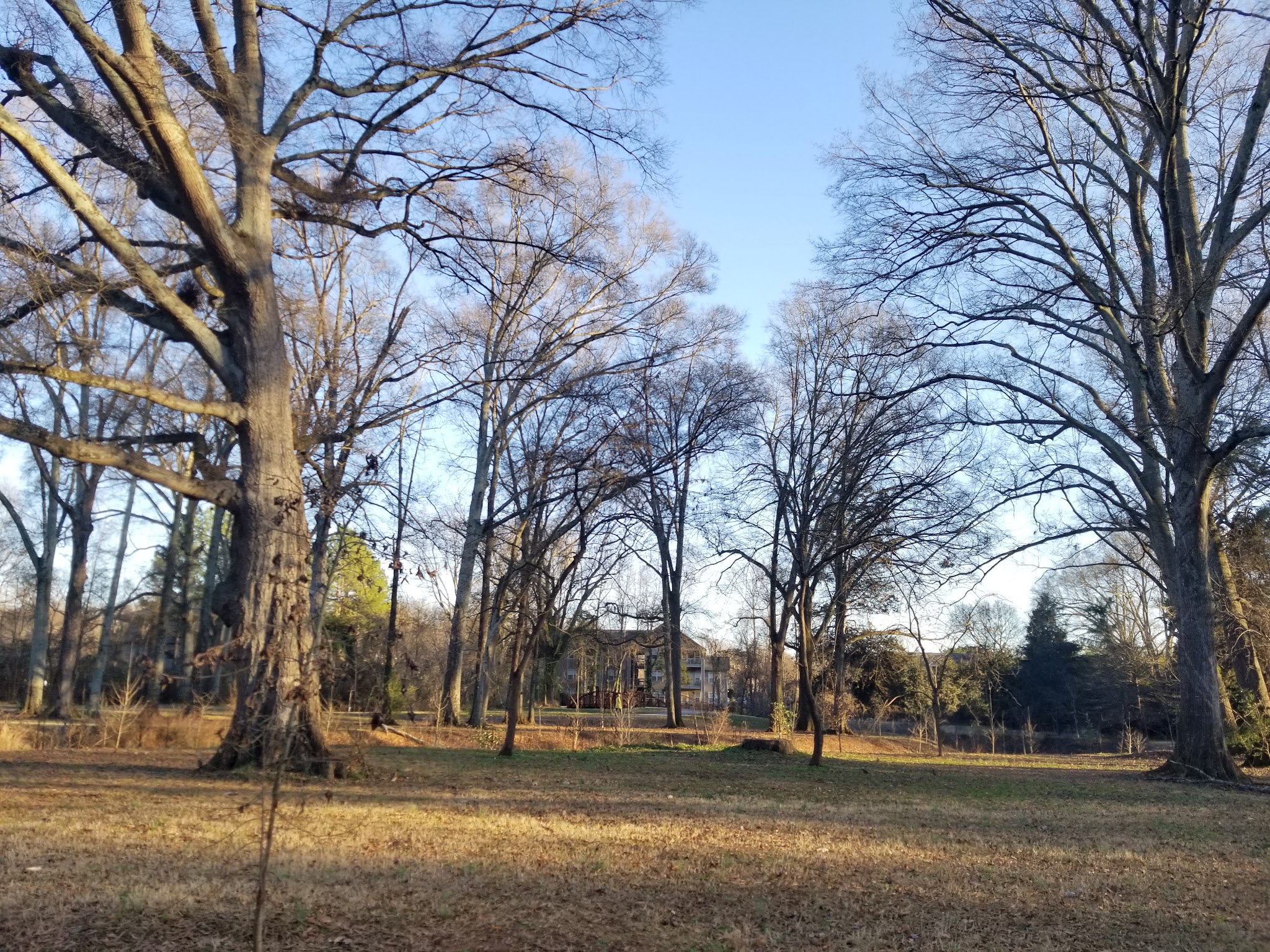 Eastover Park - Charlotte, NC