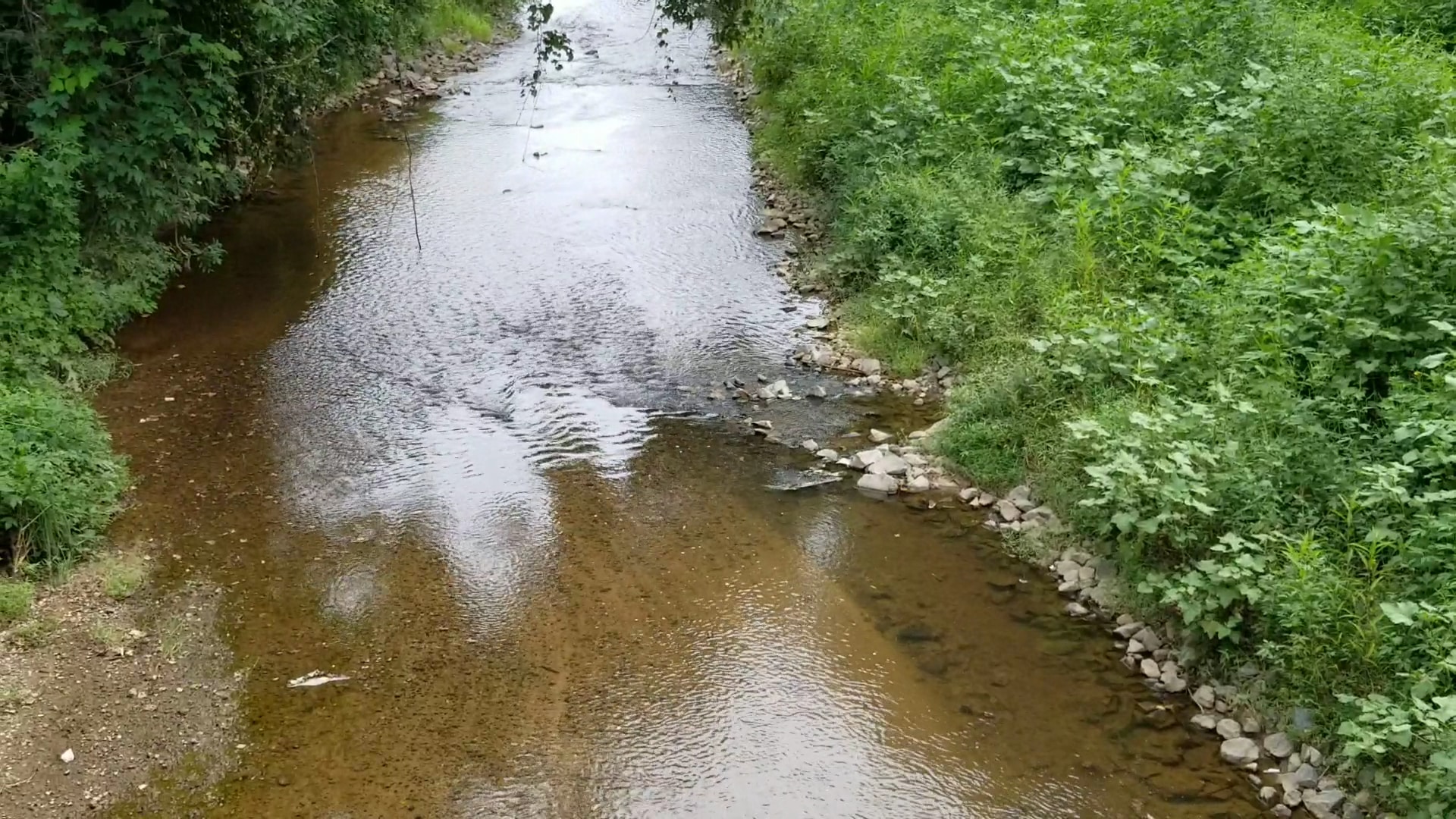 Eastover Park - Charlotte, NC