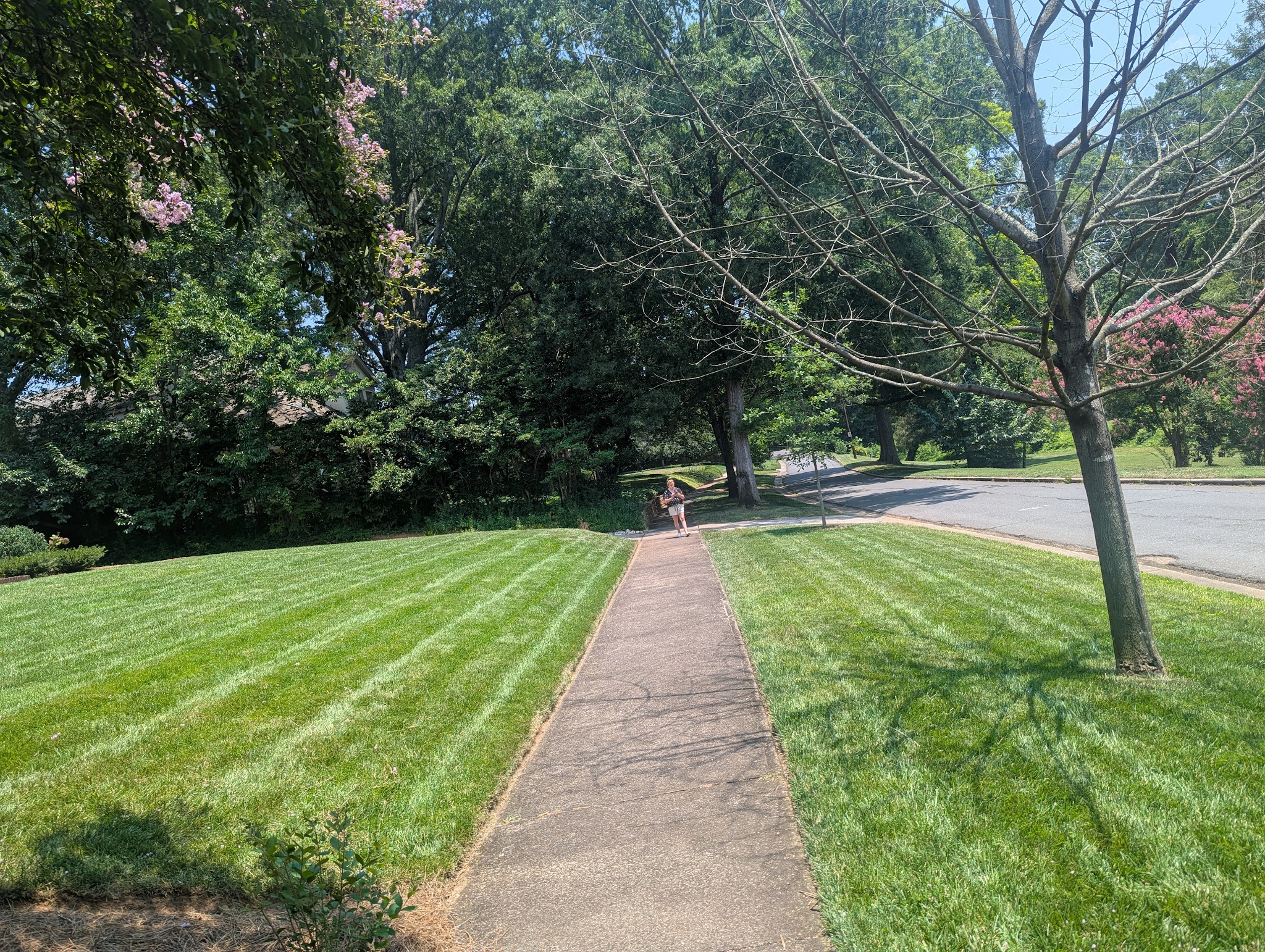 Edgehill Park - Charlotte, NC