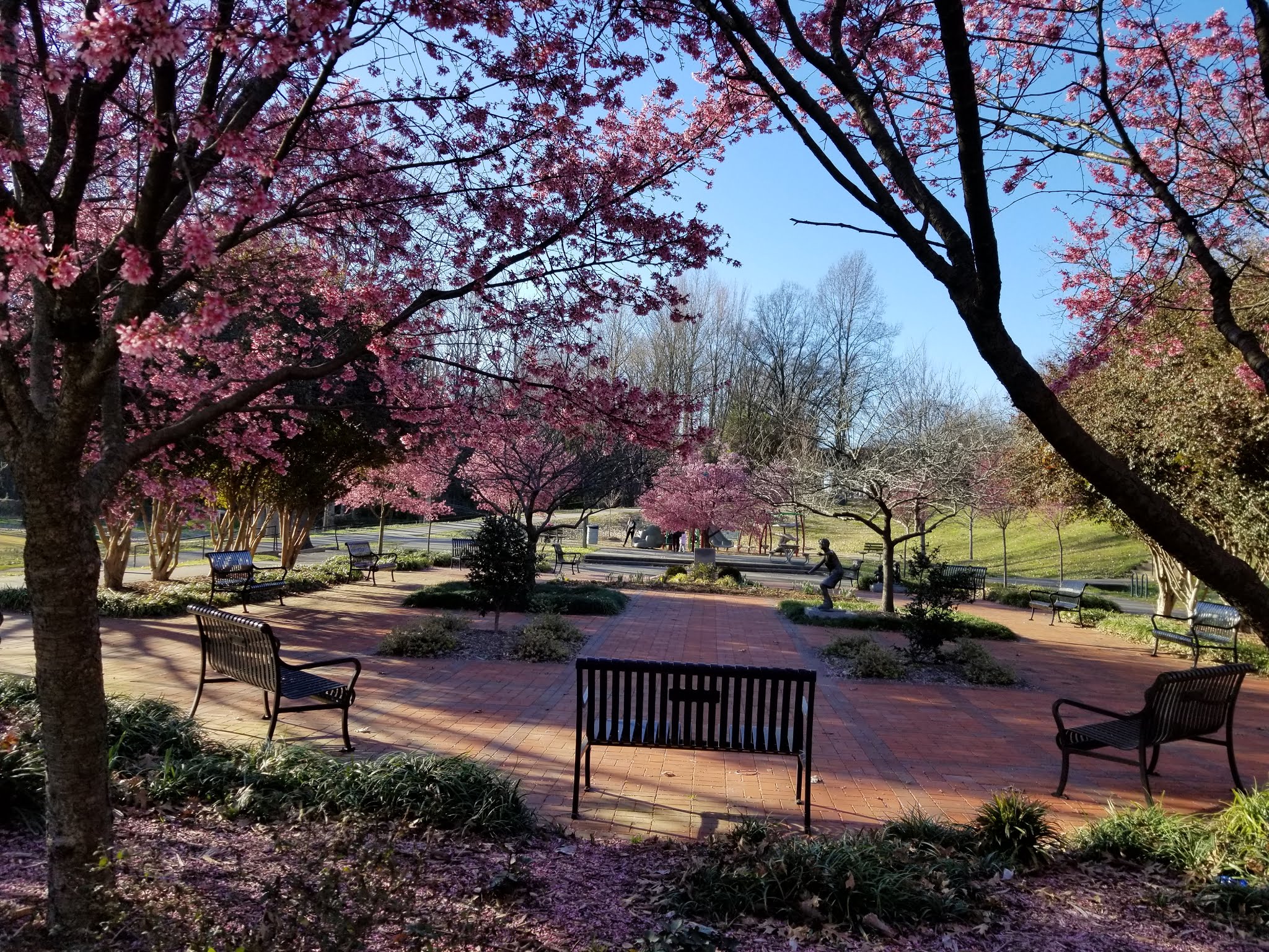 Frazier Park - Charlotte, NC