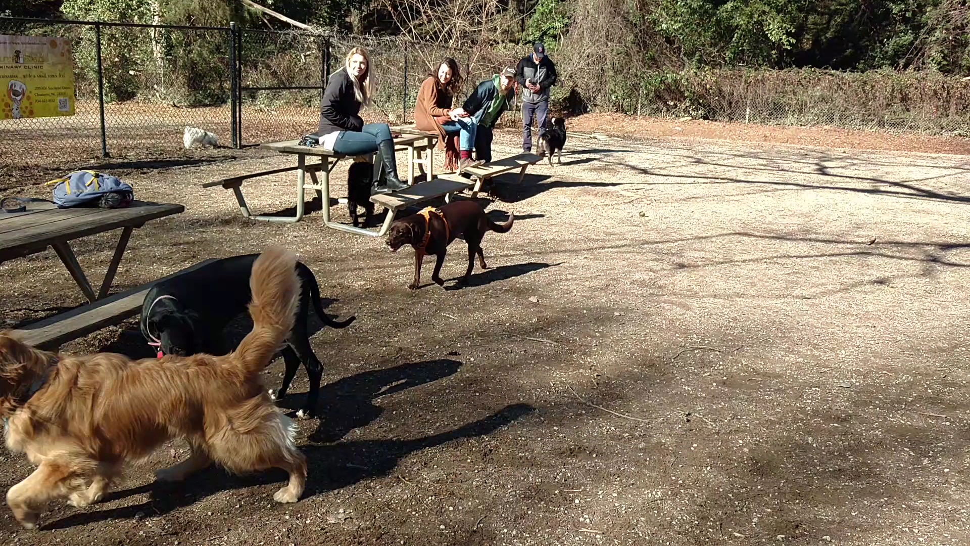 Frazier Park - Charlotte, NC