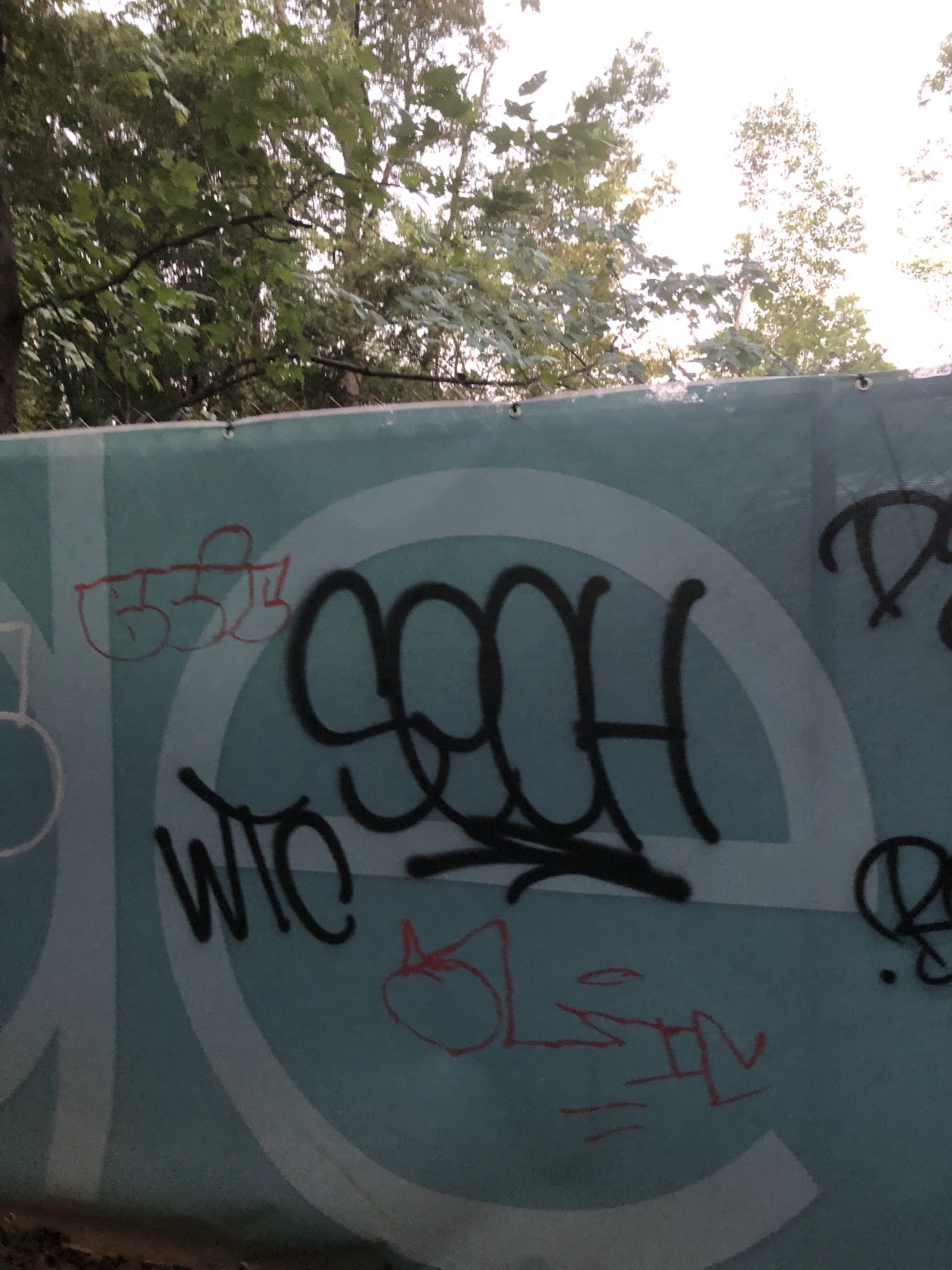 freedom park - Charlotte, NC