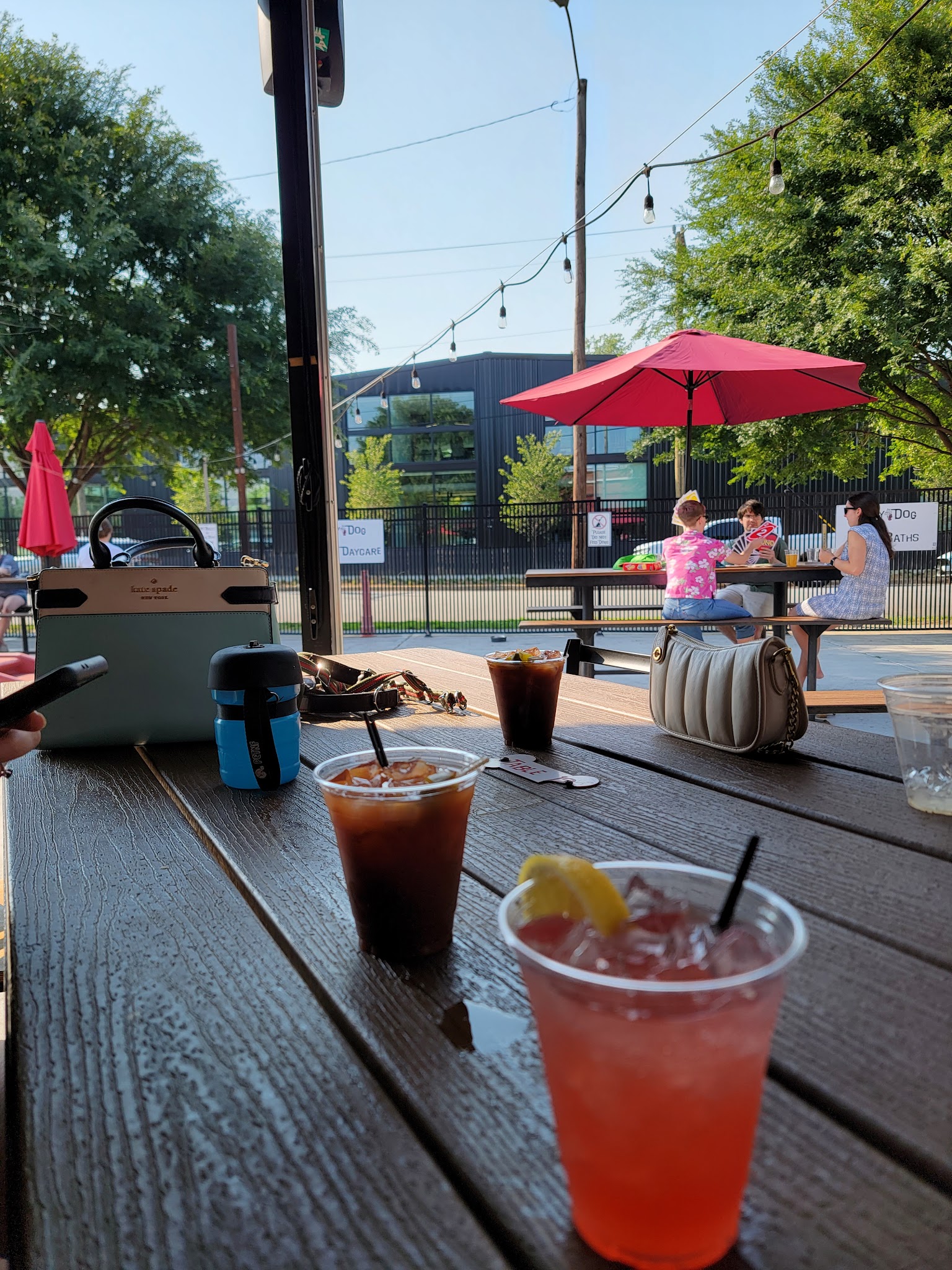 Lucky Dog Bark - Charlotte - Charlotte, NC