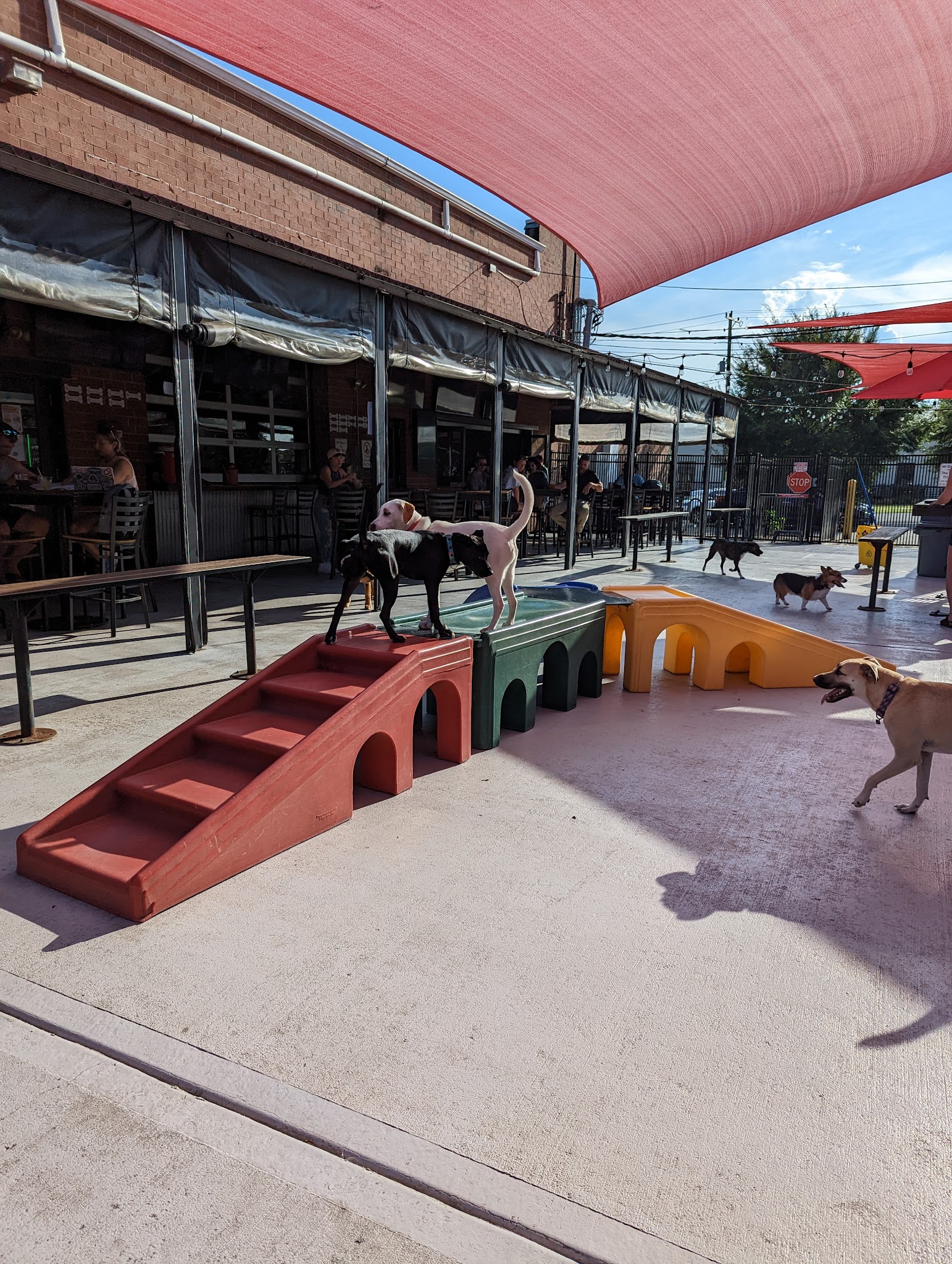 Lucky Dog Bark - Charlotte - Charlotte, NC