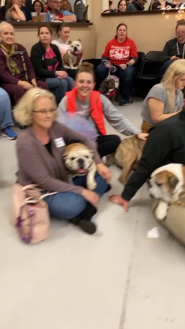 Lucky Dog Bark - Charlotte - Charlotte, NC