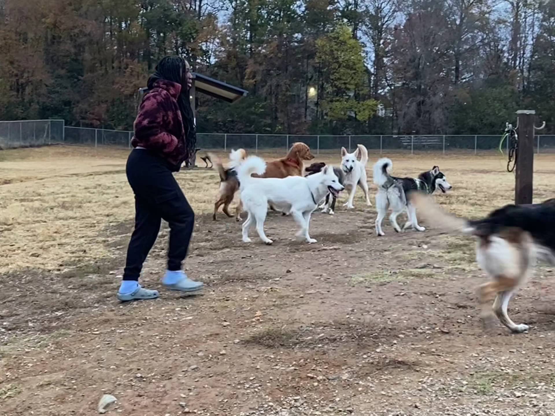 McAlpine Creek Dog Park - Charlotte, NC