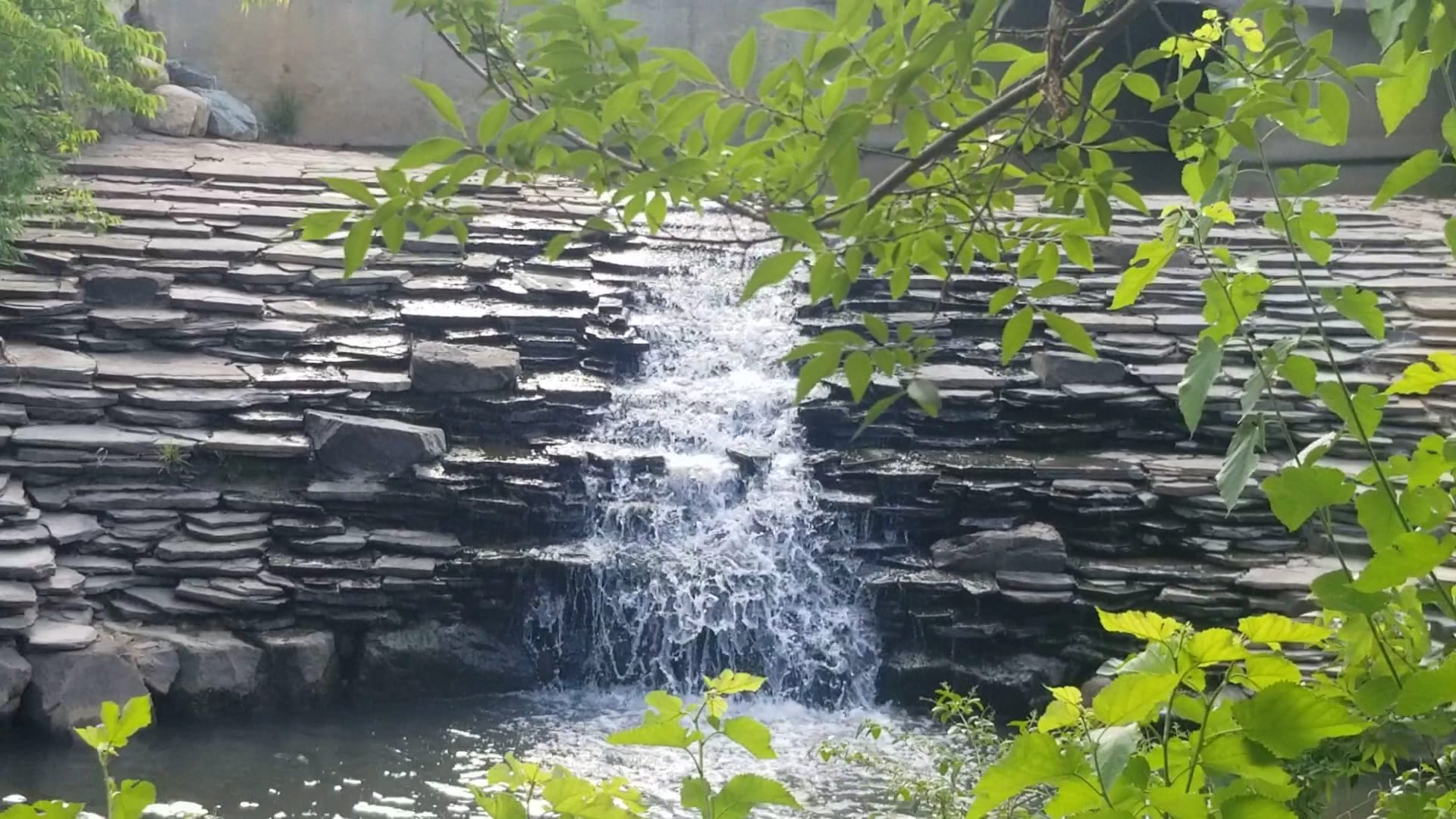 Midtown Park - Charlotte, NC