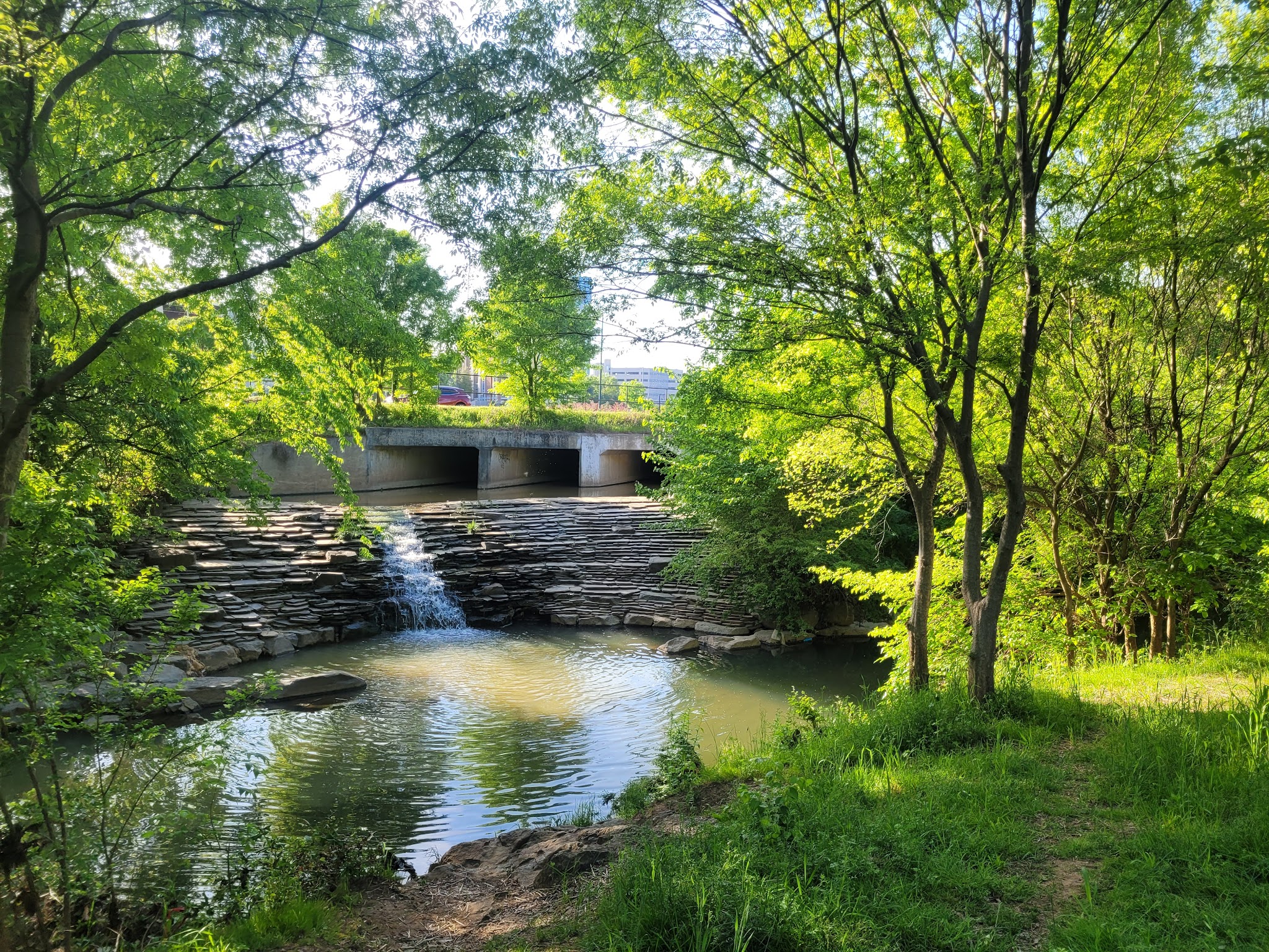 Midtown Park - Charlotte, NC