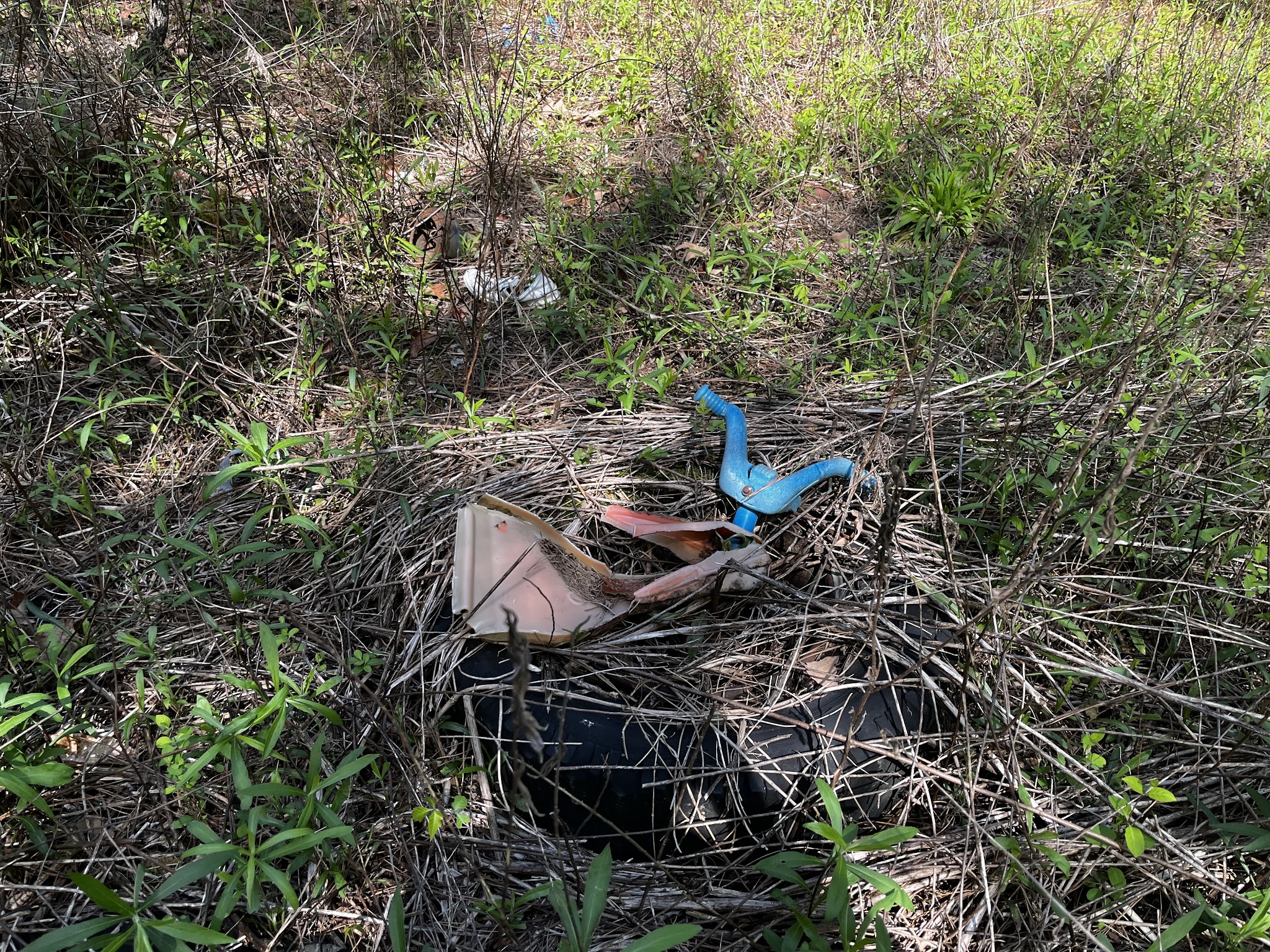 Mint Hill Founders Park - Charlotte, NC