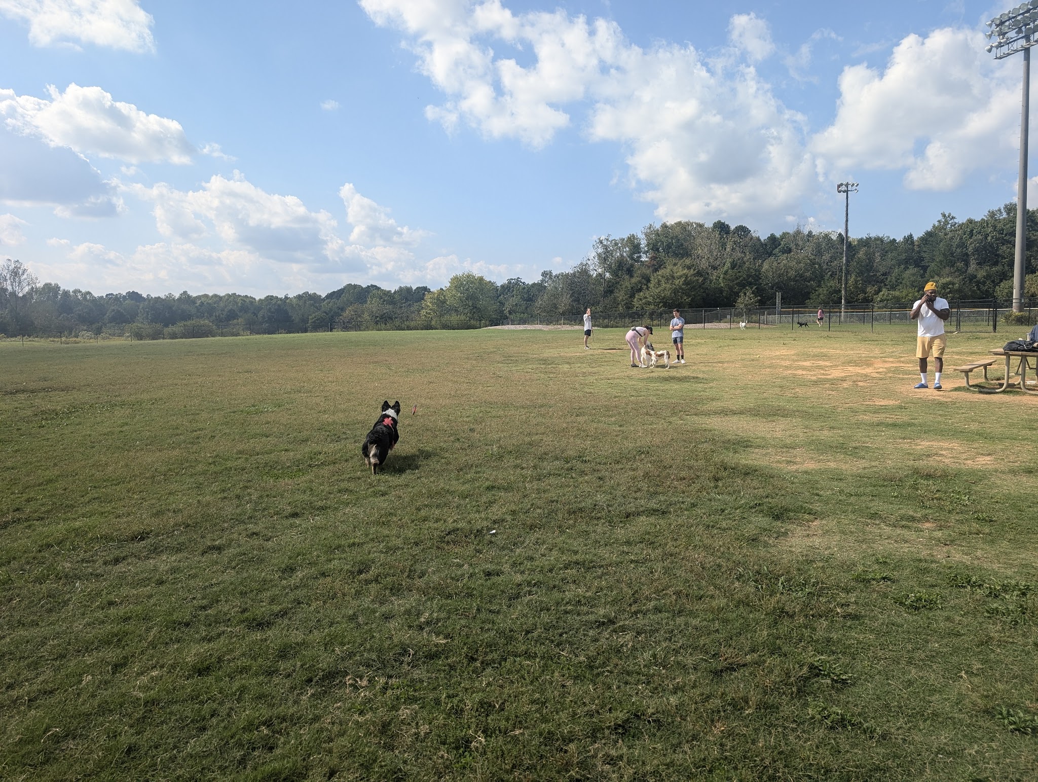 Renaissance Dog Park - Charlotte, NC