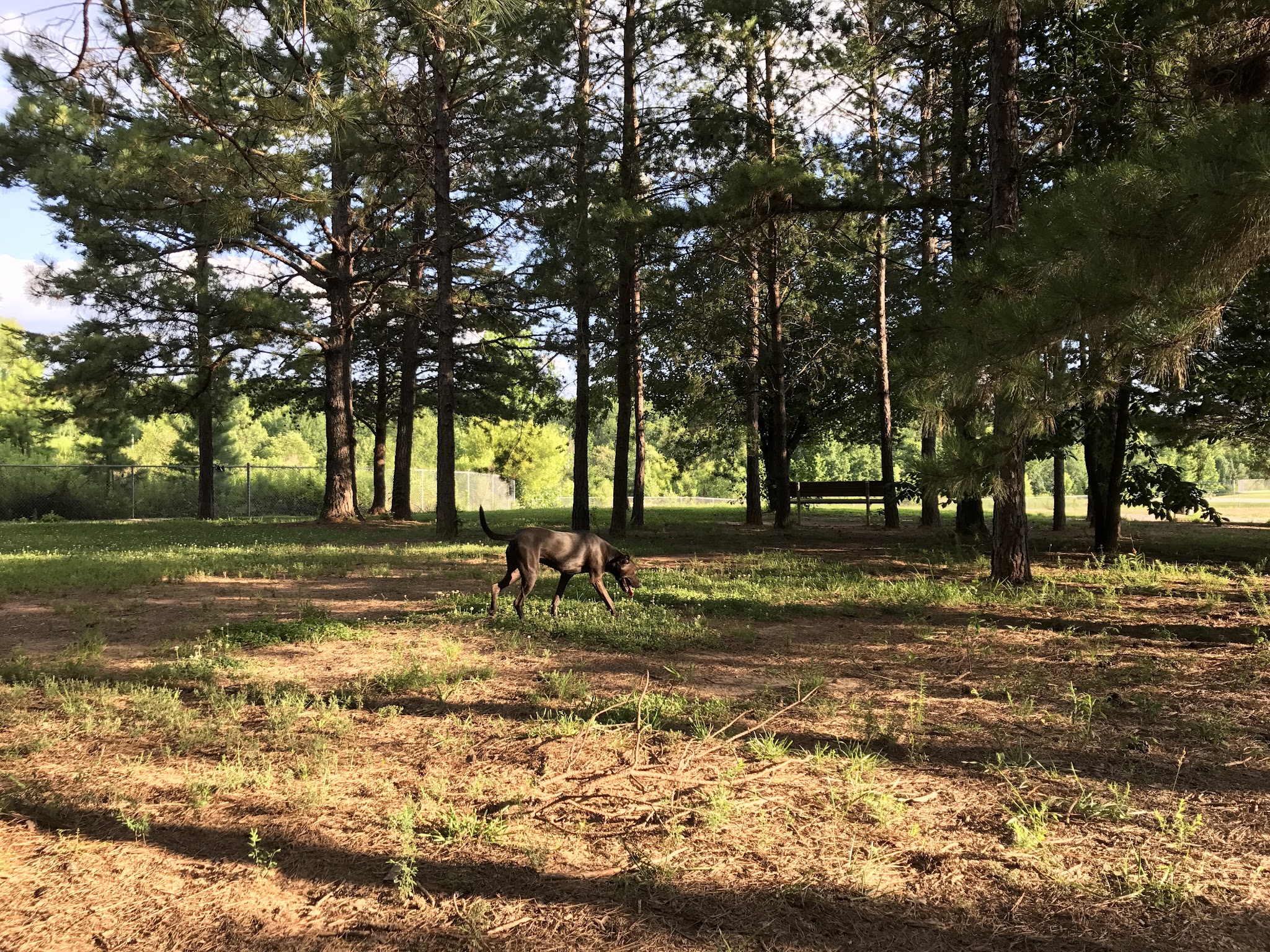 Shuffletown Park - Charlotte, NC