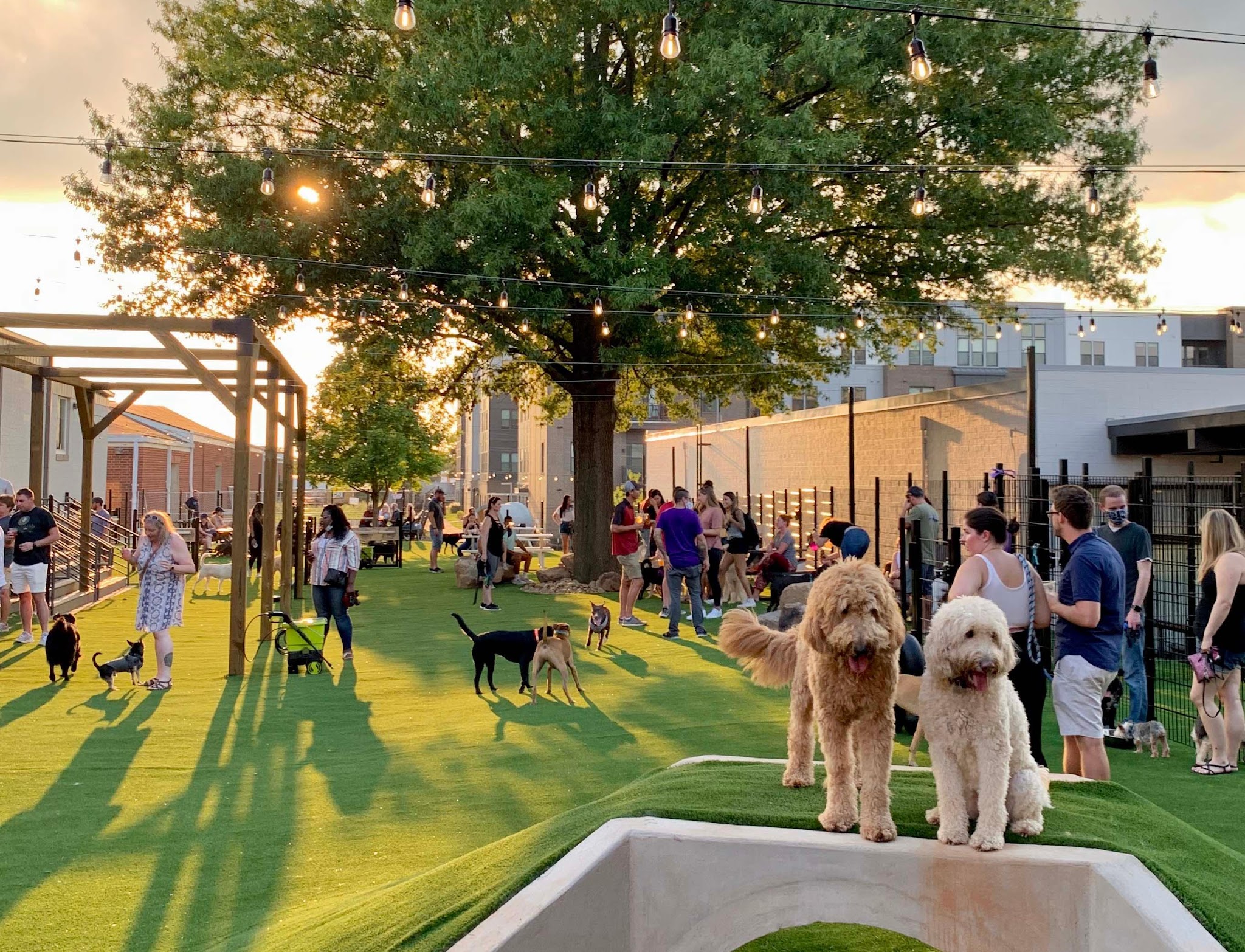 Skiptown - Charlotte, NC