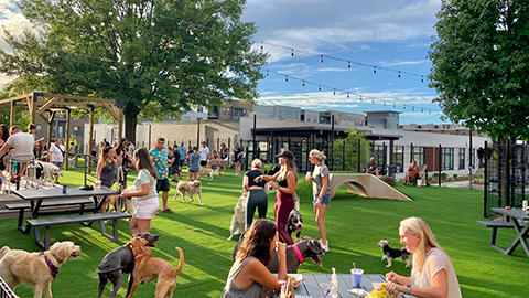 Skiptown - Charlotte, NC