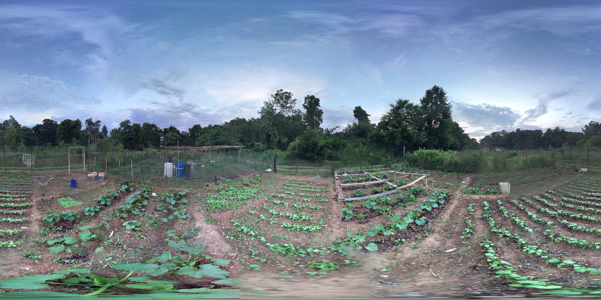 Azalea Park Dog Park - Charlottesville, VA