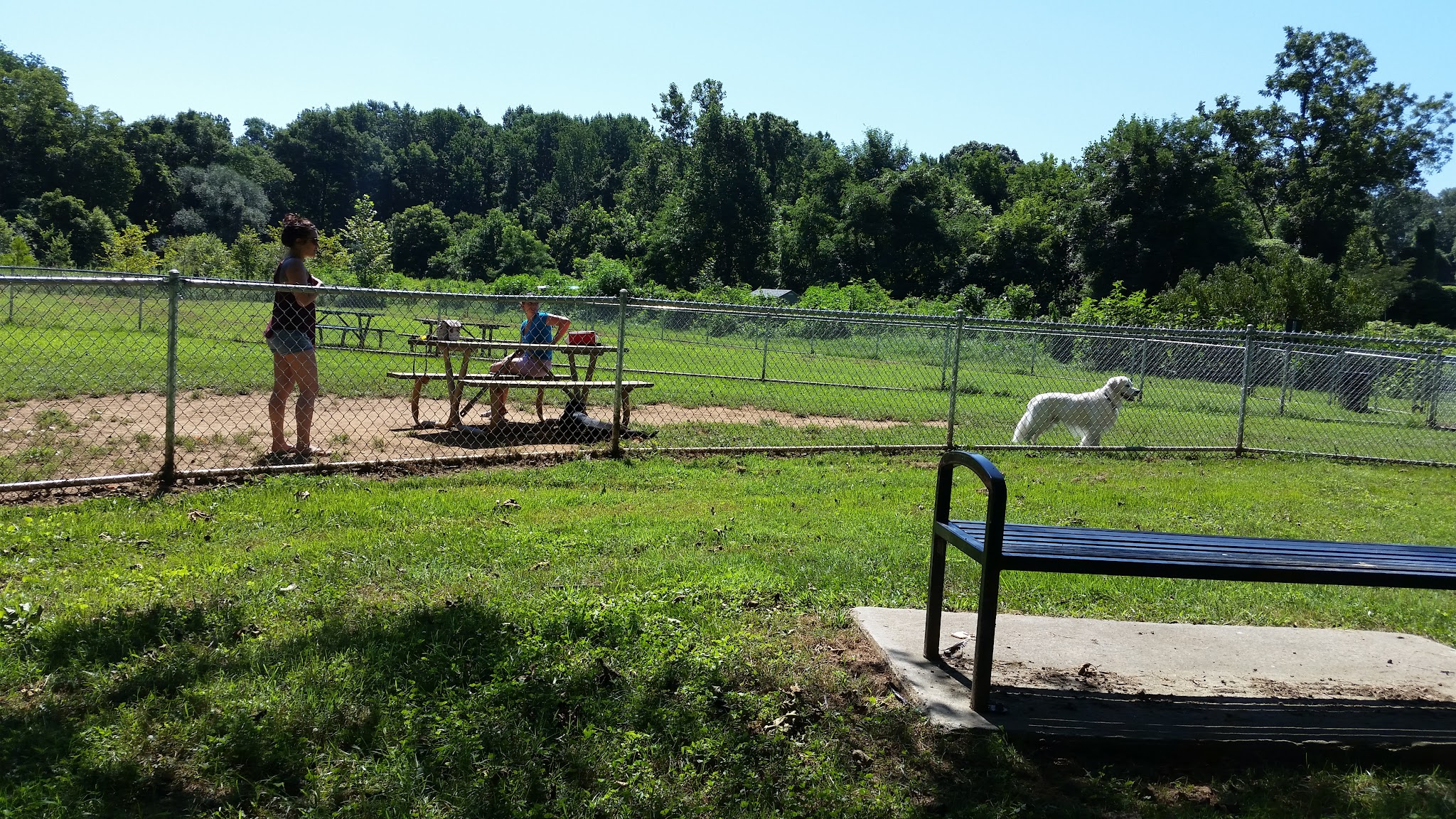 Azalea Park Dog Park - Charlottesville, VA