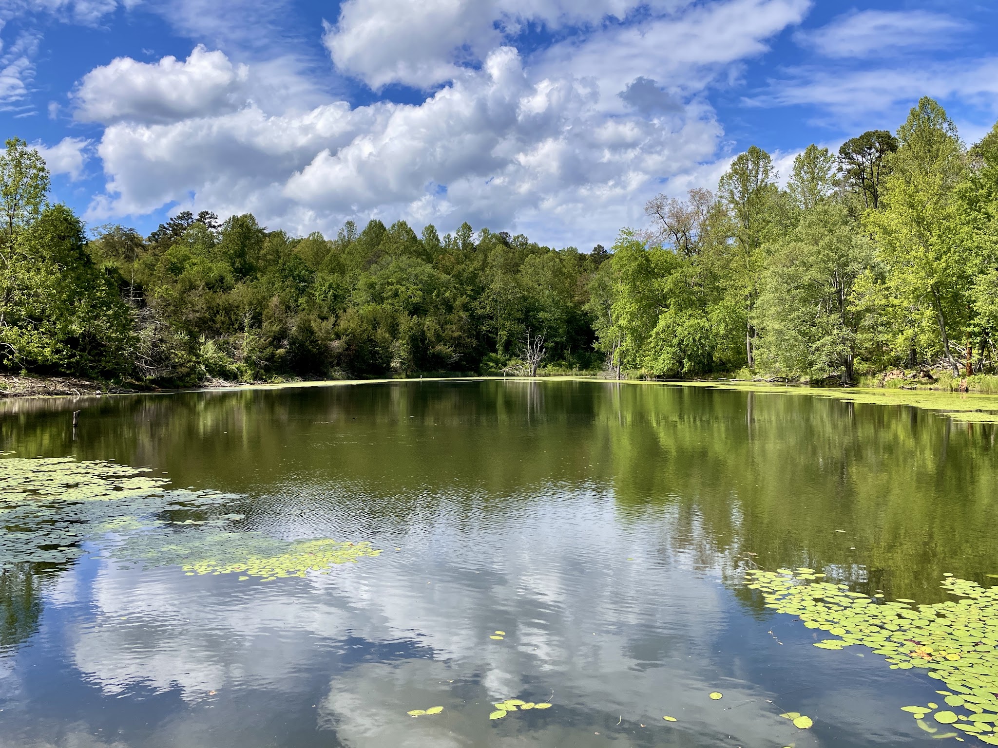 Biscuit Run Park - Charlottesville, VA